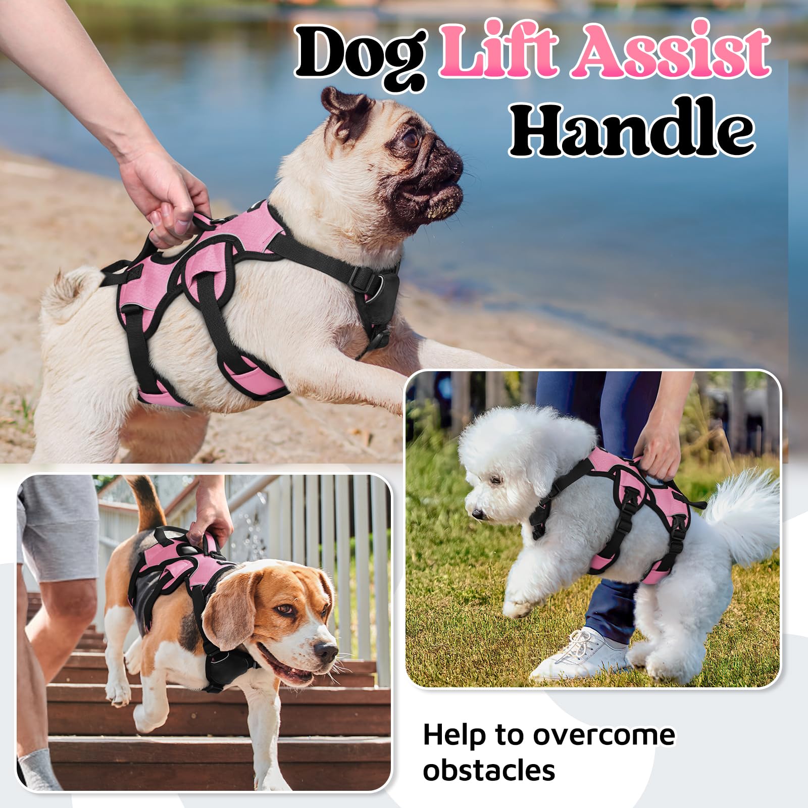 Rabbitgoo Escape Proof Dog Harness Small Sized Dog, Soft Padded Full Body Pet Harness, Reflective Adjustable Vest With Lift Hand