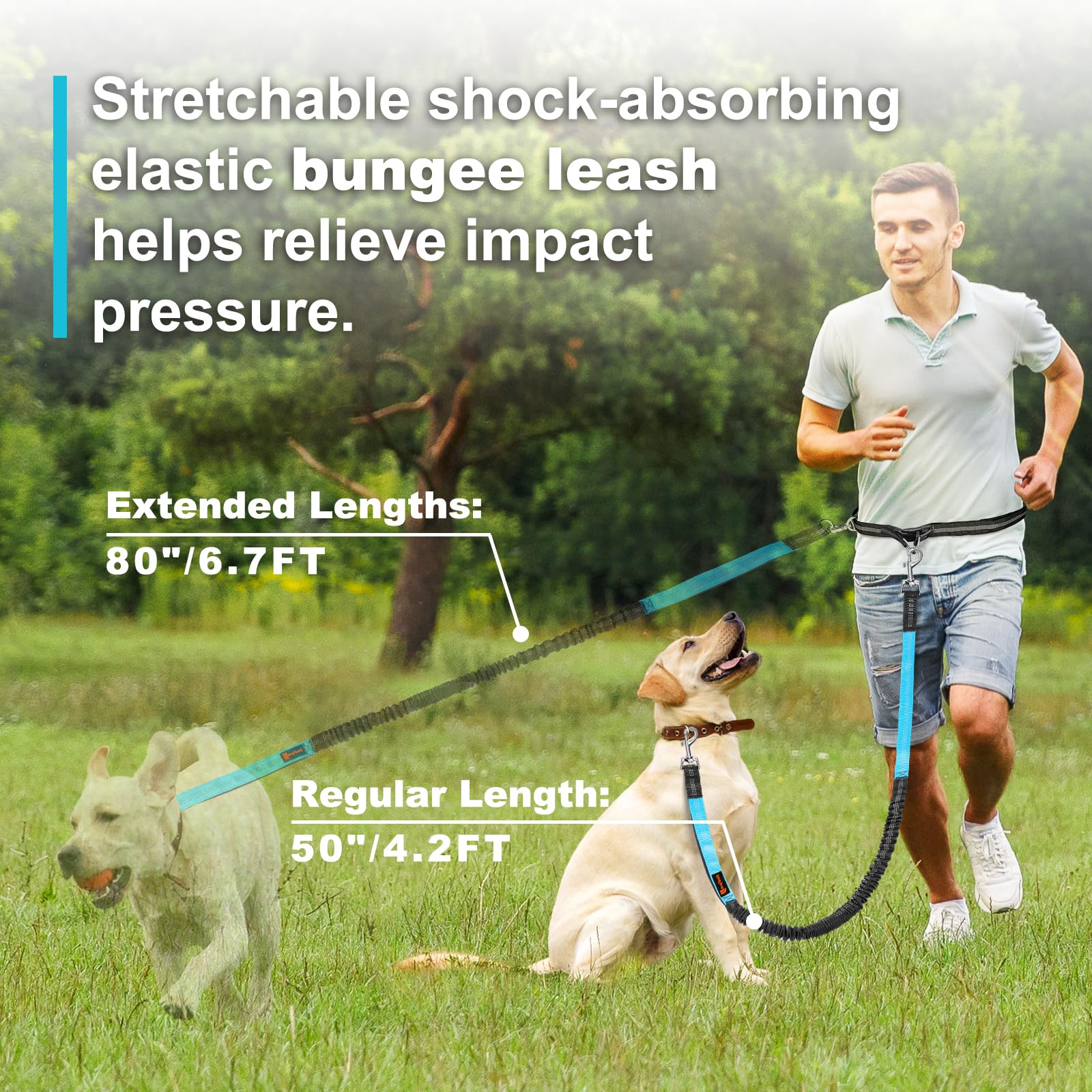 Laqibak Hands Free Dog Leash, Adjustable Waist Leash For Dog, Handle Bungee 4.2-6.7 Feet Long With Reflective Stitches For Walki