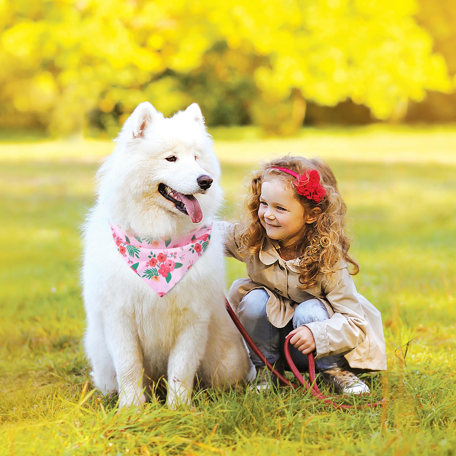 Pawchie Spring Dog Bandanas Small Reversible Styles Pet Triangle Scarf Bibs - Adjustable With Two Snaps - Kerchief Set Accessori
