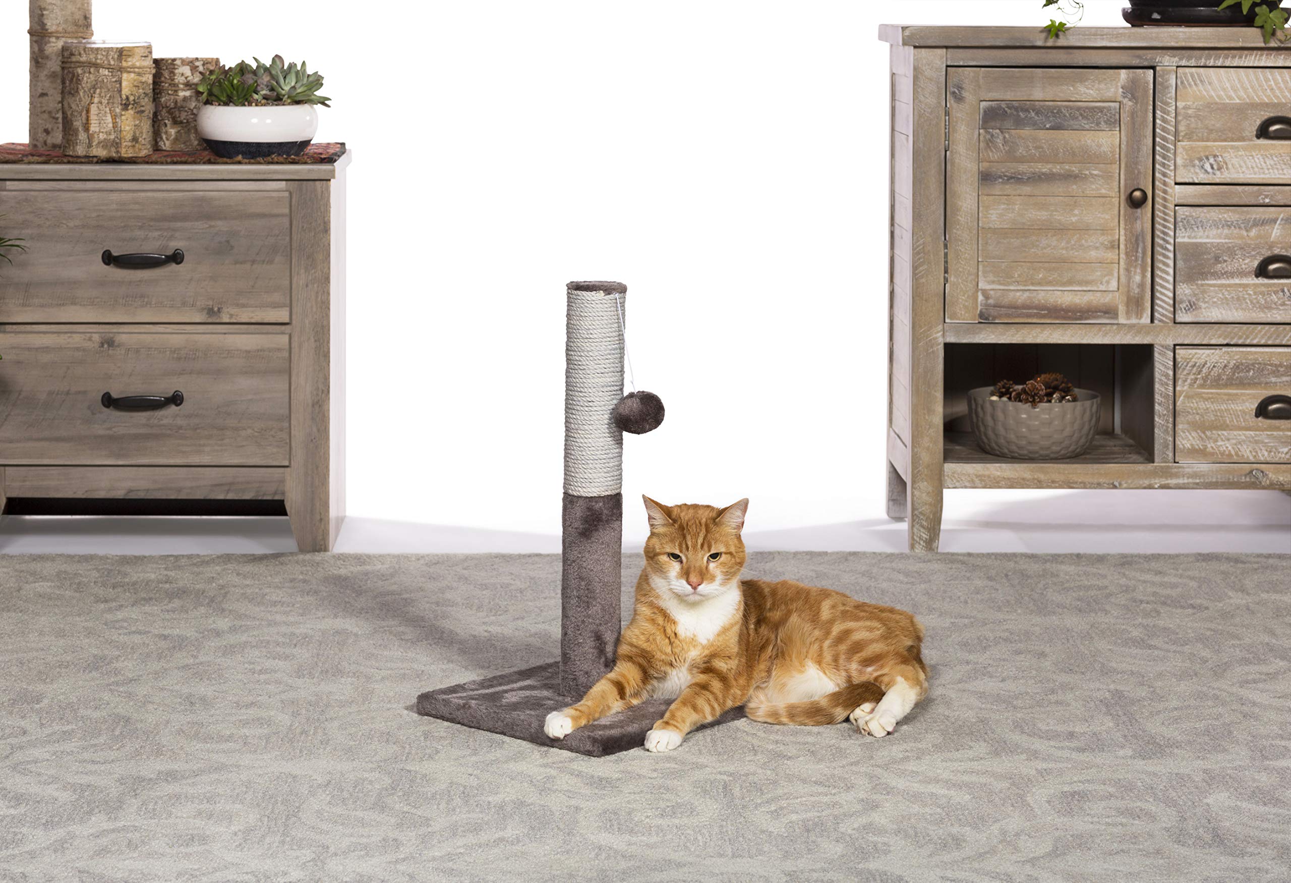 Prevue Pet Products Kitty Power Paws Play & Scratch 7151 - Gray - 11.625x11.625x20.5