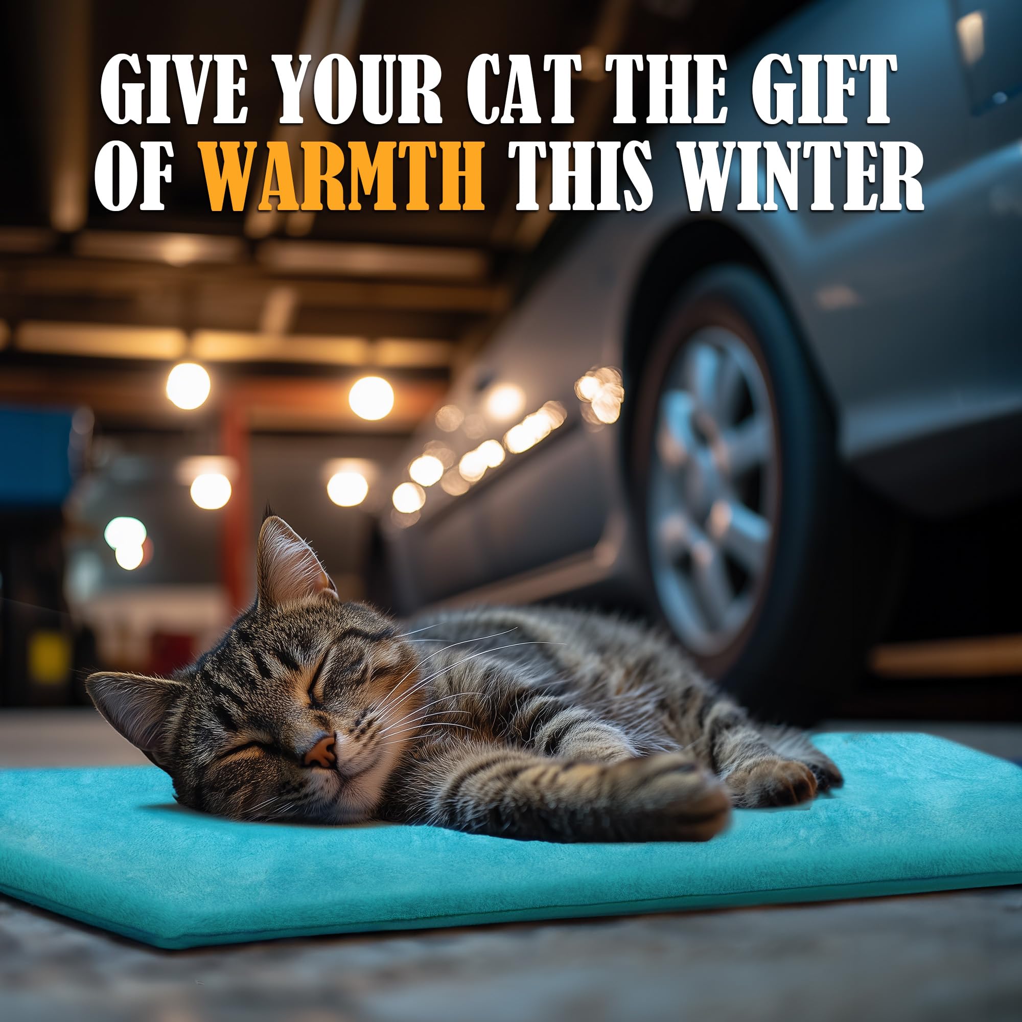 PETNF Outdoor Cat Heating Pad, Waterproof Electric Mat 28"x16", Light Blue, Safe for Feral Cats and Dogs, Model PF104-LBU-N