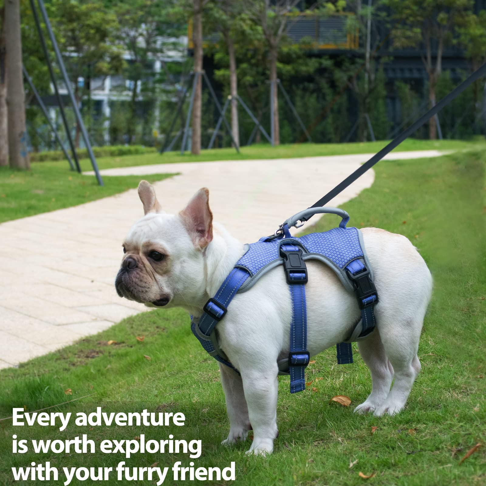 Escape Free Dog Harness, No Slip Harness With Lift Handle, Adjustable No Pull Vest With Soft Breathable Padded And Leash Clip For Medium And Large Dogs Walking Hiking Training (Technicolor Blue,Xl)