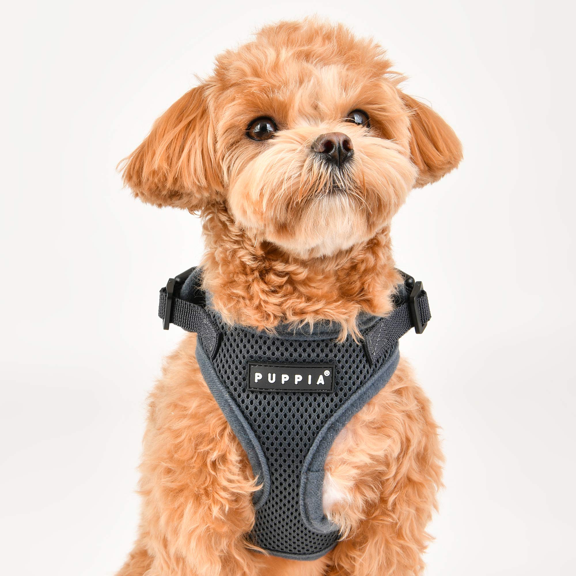 Puppia Authentic Puppia Ritefit Harness With Adjustable Neck, Camo, Large