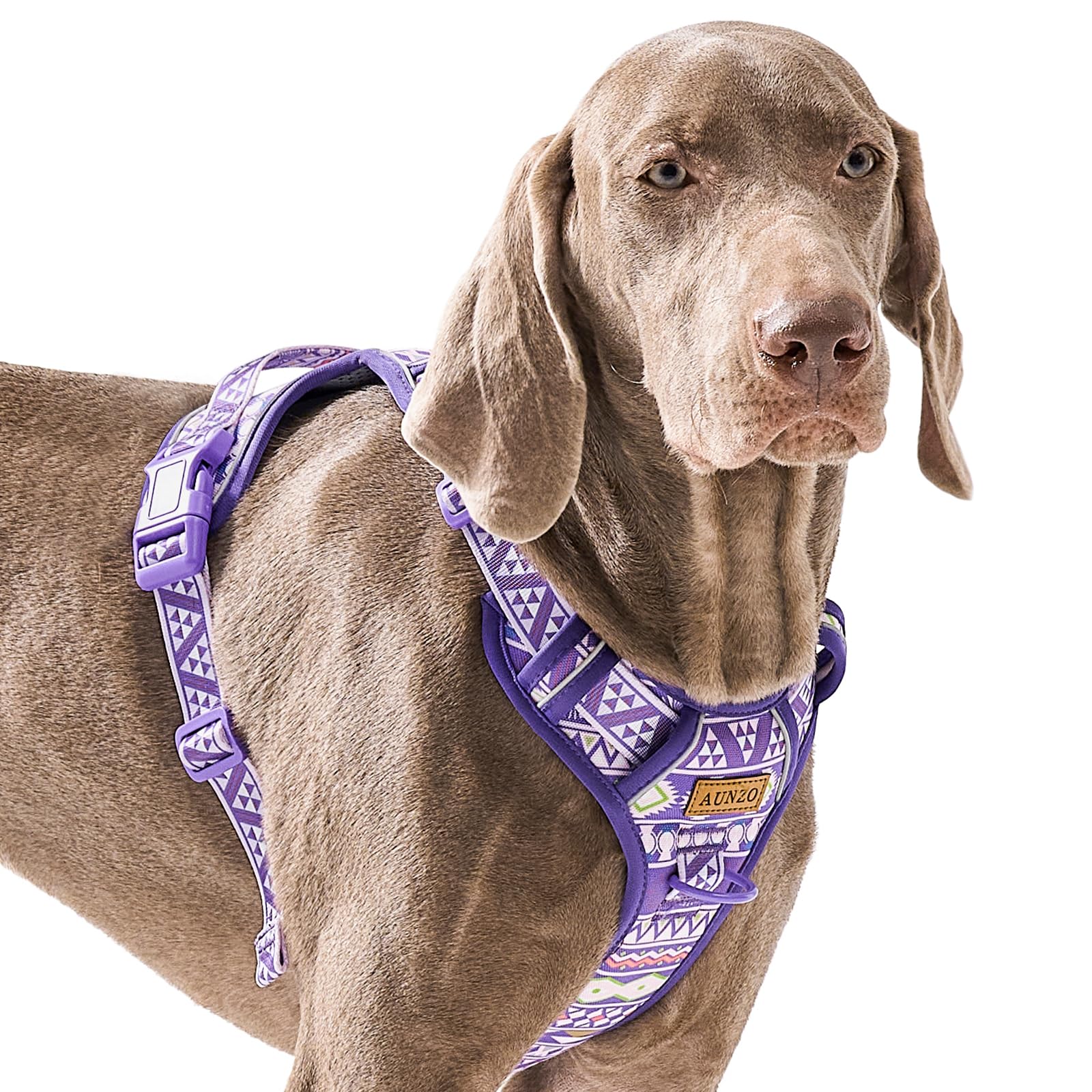 Adjustable Extra Large Dog Vest Harness No-Pull Easy Walking, Cute Pet Harness With Tribal Pattern Breathable Oxford Material 2 