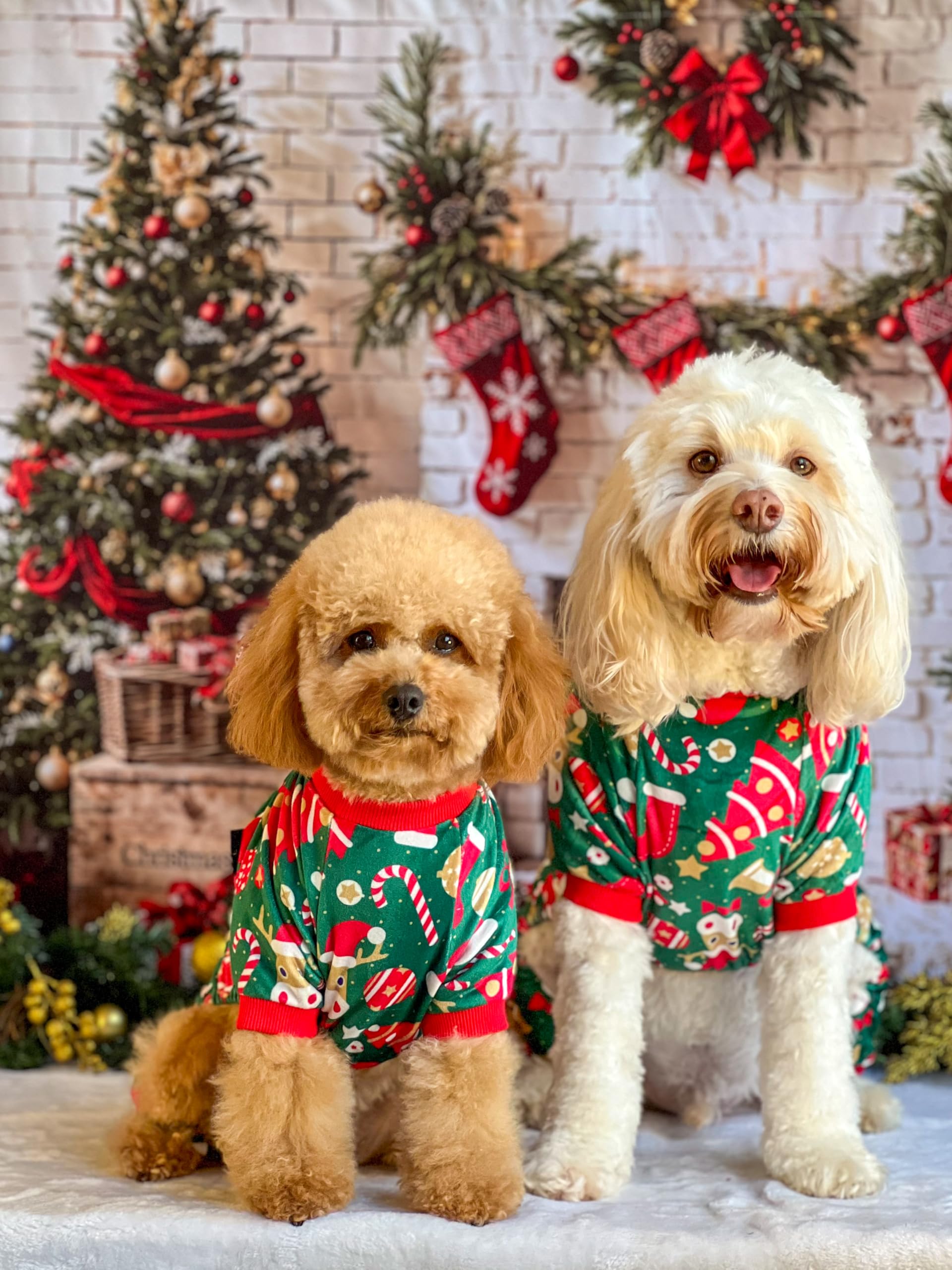 Fitwarm Christmas Dog Pajamas, Dog Winter Clothes For Small Dogs Boy Girl, Lightweight Velvet Pet Jammies, Reindeer, Red, Green,