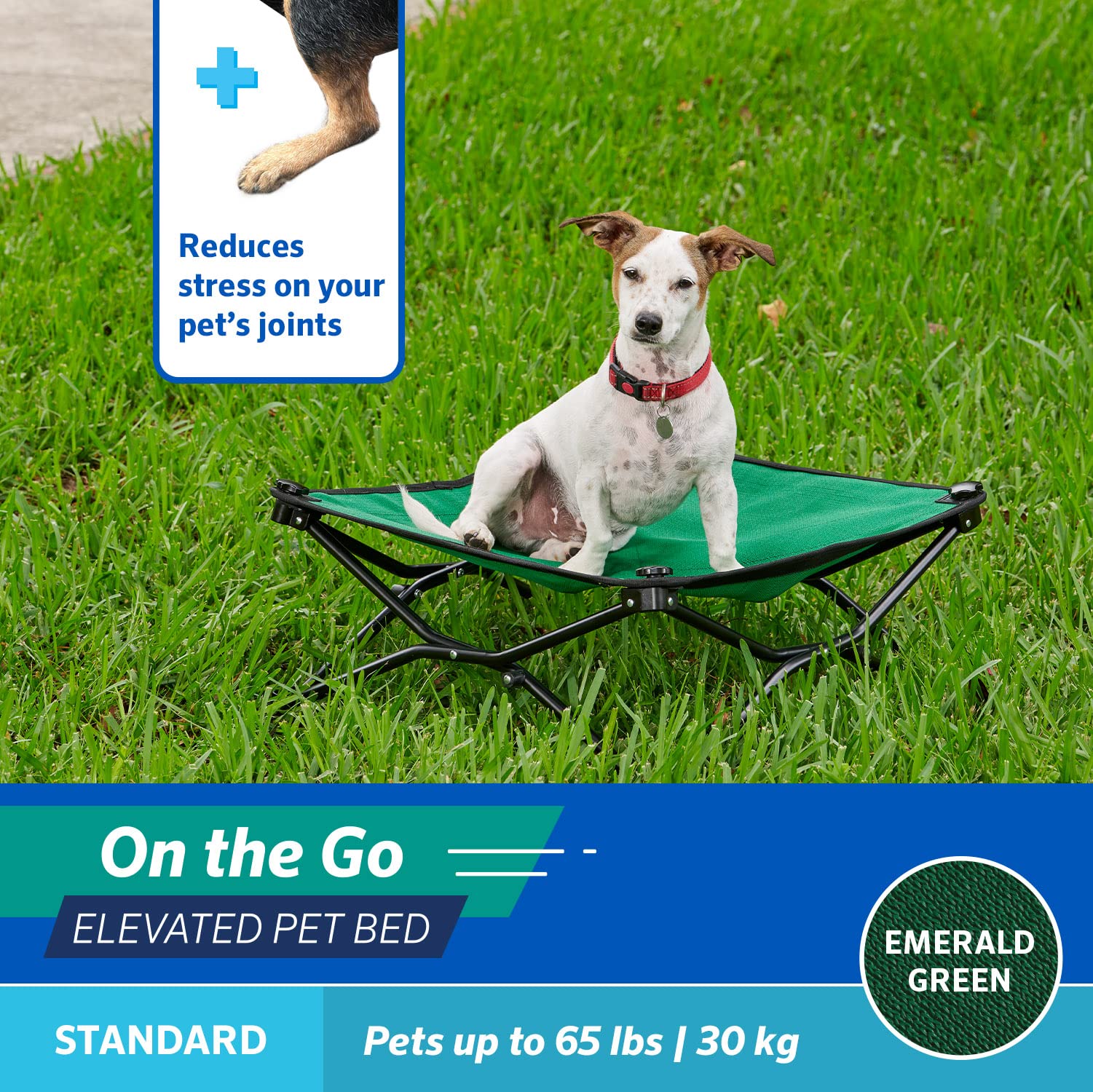 On The Go Pet Bed - Emerald Green - Standard (24'' X 24'')
