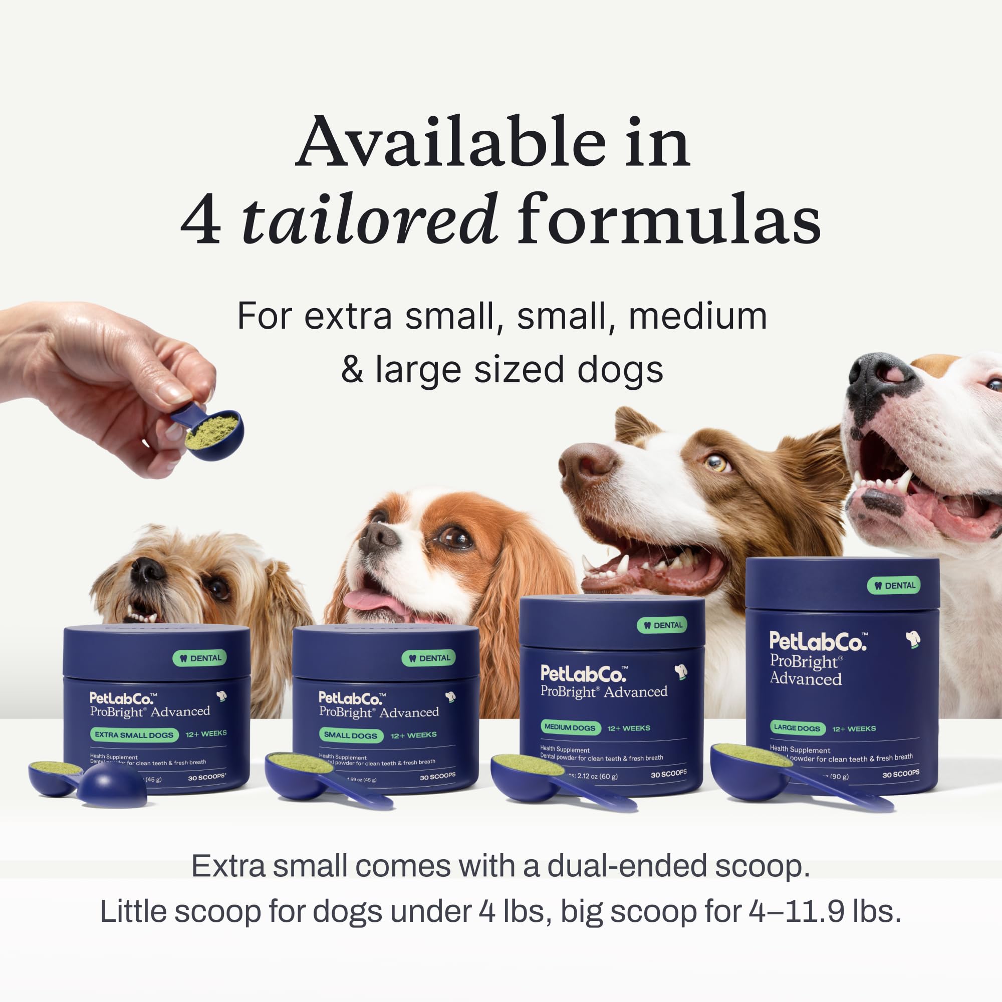 PetLab Co. ProBright Advanced Dental Powder - Dog Breath Freshener - Teeth Cleaning Made Easy - Targets Tartar & Bad Breath - Pa