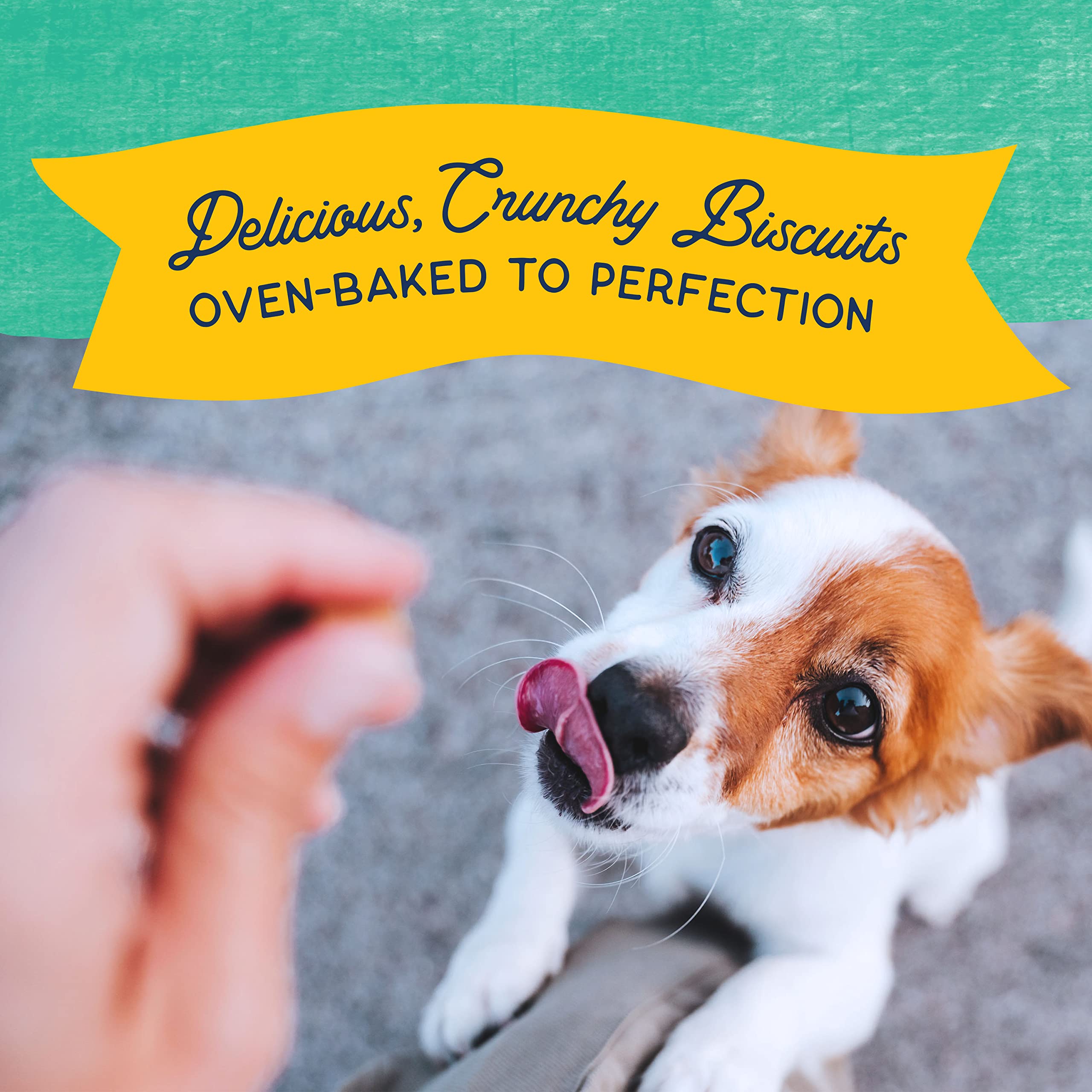 Natural Balance Limited Ingredient Rewards Crunchy Biscuits, Bite-Size Treats for Small-Breed Dogs, Made with Real Chicken, 8 Ou