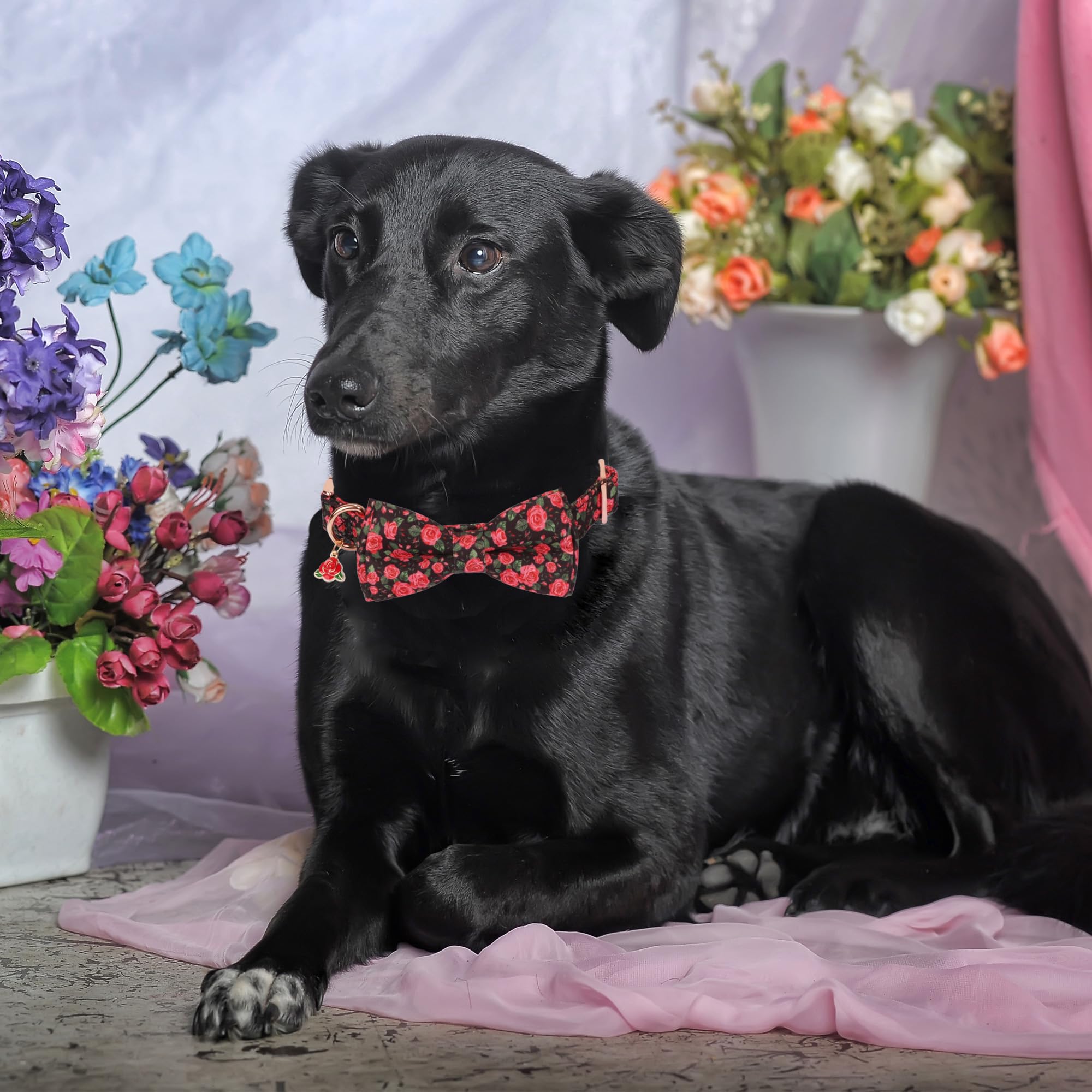 Adoggygo Floral Dog Collar With Bow, Red Rose Flower Dog Bowtie Collar With Metal Buckle, Adjustable Pet Floral Collars For Larg