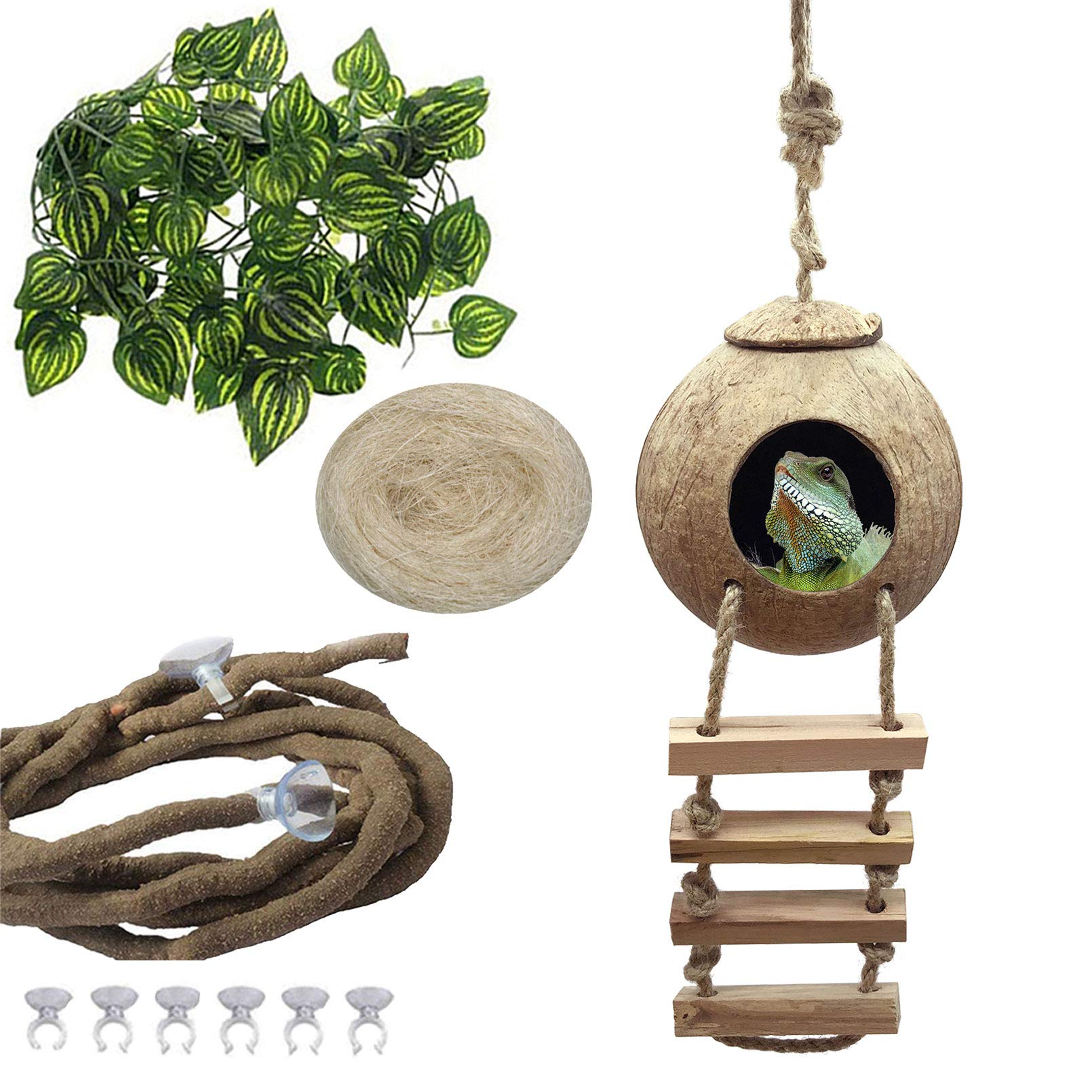 PINVNBY Crested Gecko Coco Hut with Ladder Natural Lizard Coconut Shell Hideout Home Mini Condo for Reptiles Durable Cave Habita