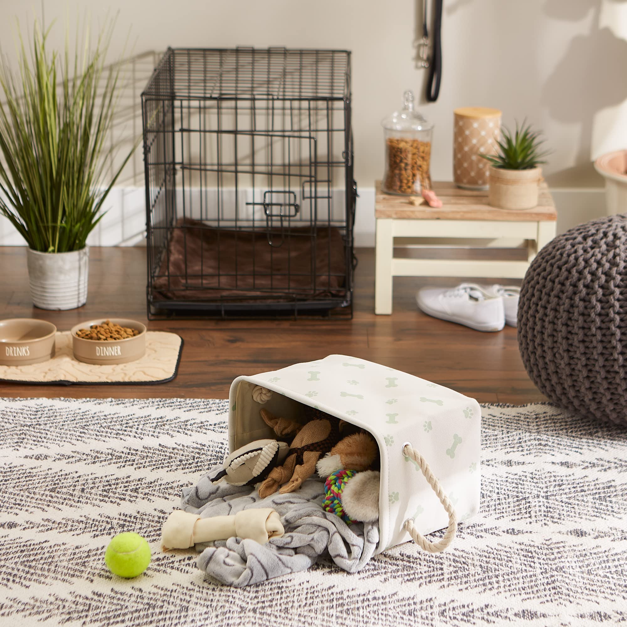 Bone Dry Pet Storage Collection Paw and Bone Print, Small Rectangle, 14x8x9, Mint