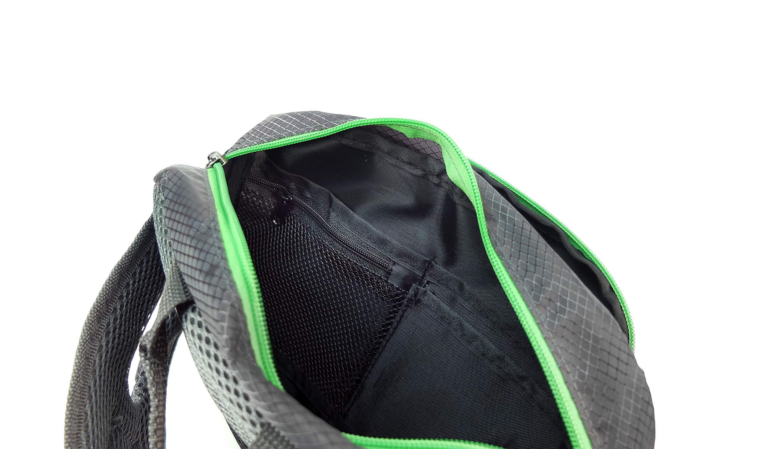 iEnergy?PAT Waist Belt for Dog Owners - Durable bumbag for Dog Walking (Green)