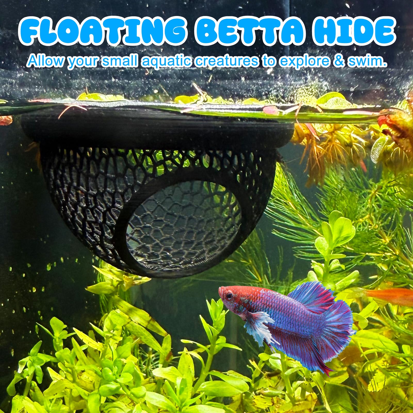 Floating Betta Hide & Shrimp Cave - 3D Printed Aquarium Decor, Multi-Functional Hammock, Feeding Ring & Safe Resting Spot for Be