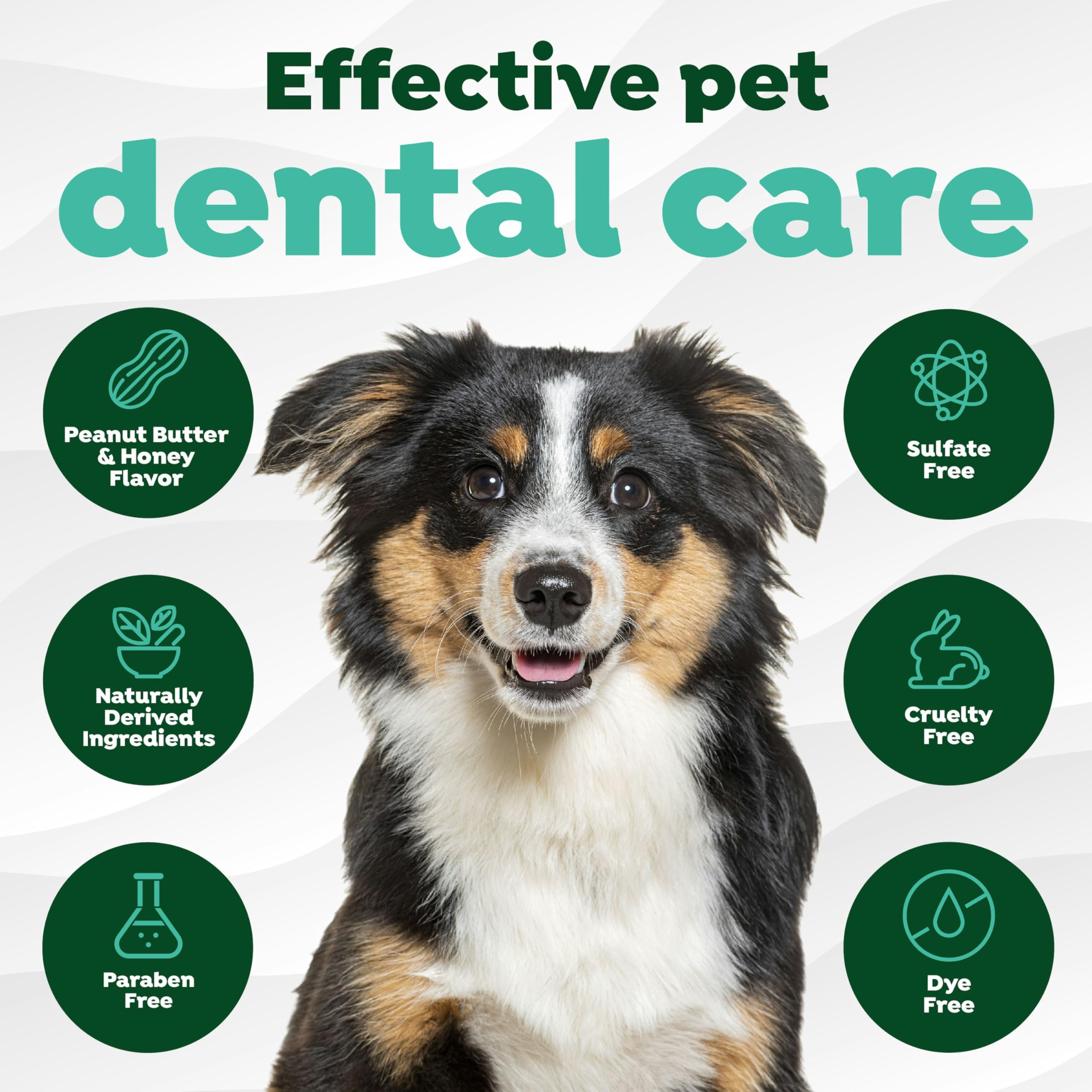 TropiClean Fresh Breath - Dog Toothpaste - Dog Teeth Cleaning Peanut Butter & Honey Flavor - Freshens Breath and Cleans Teeth -