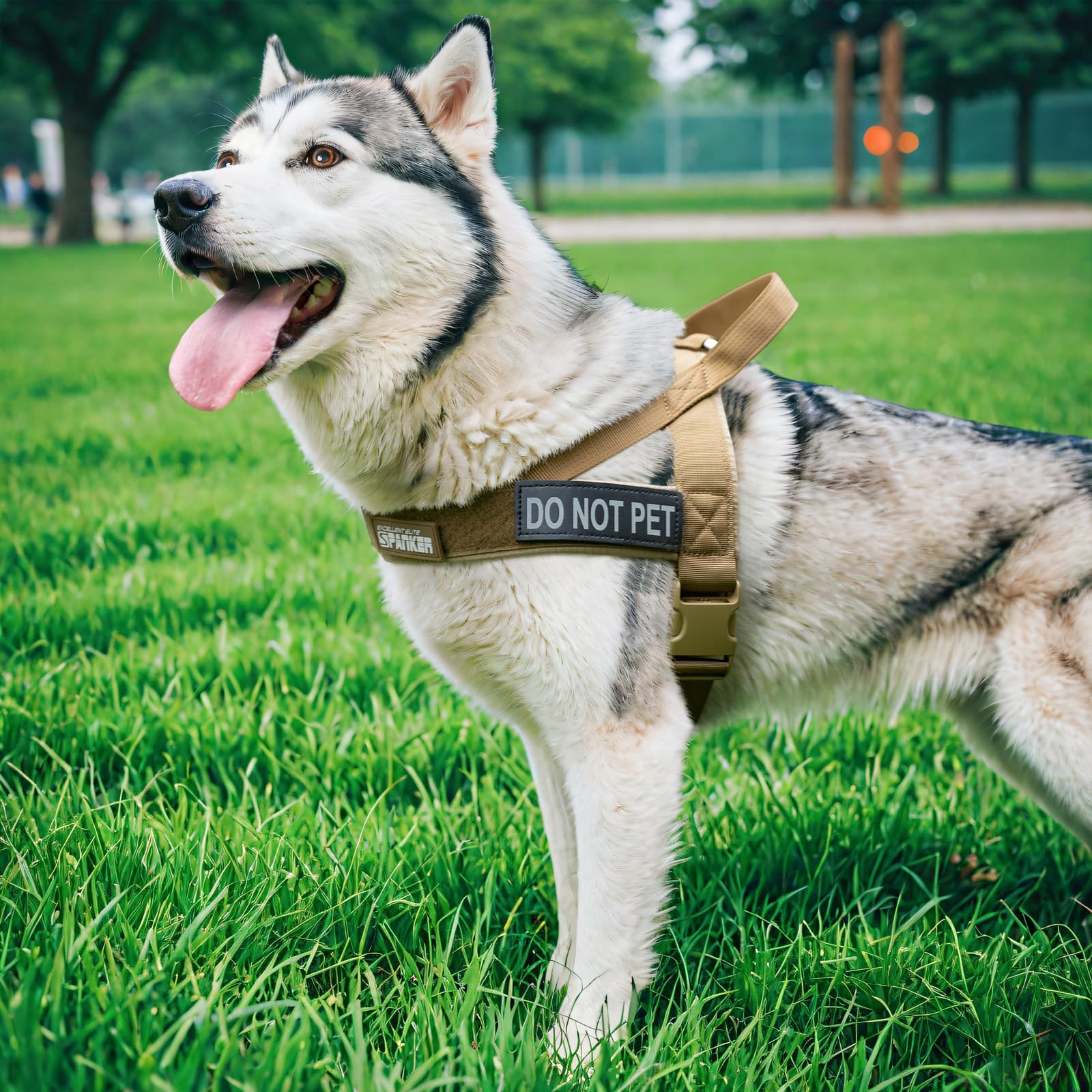 Excellent Elite Spanker No Pull Dog Harness Padded Dog Harness Adjustable Nylon Small Dog Harness Walking Dog Harness For Training Running(Blk-L)