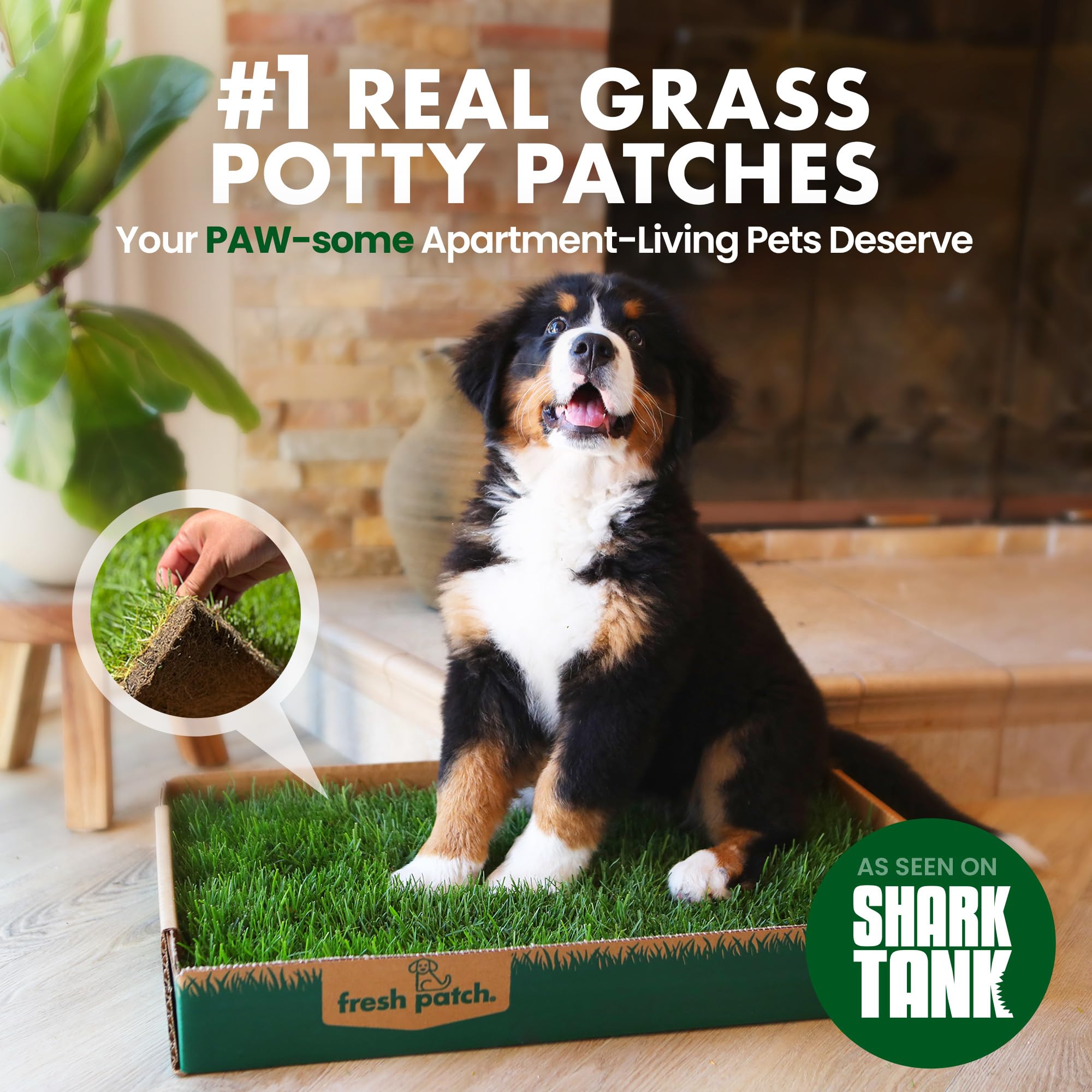 Fresh Patch Real Grass Patch For Dogs, Cats, And Large Pets 15-30 Pounds - Disposable Pet Grass Pee Pads - Indoor And Outdoor Po