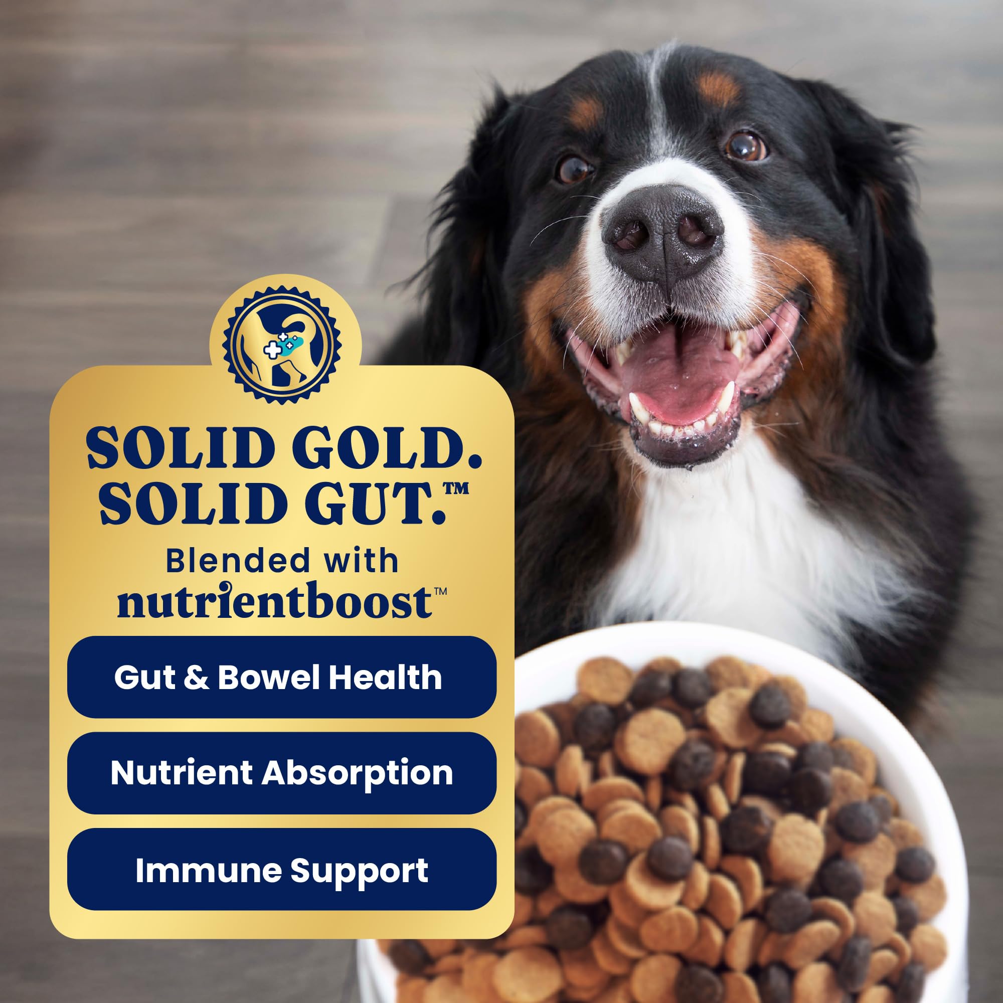 Solid Gold Lamb Dog Food Dry for Adult & Senior Dogs- High Protein Healthy Dog Kibble for Medium & Large Breeds - Whole Grain, O