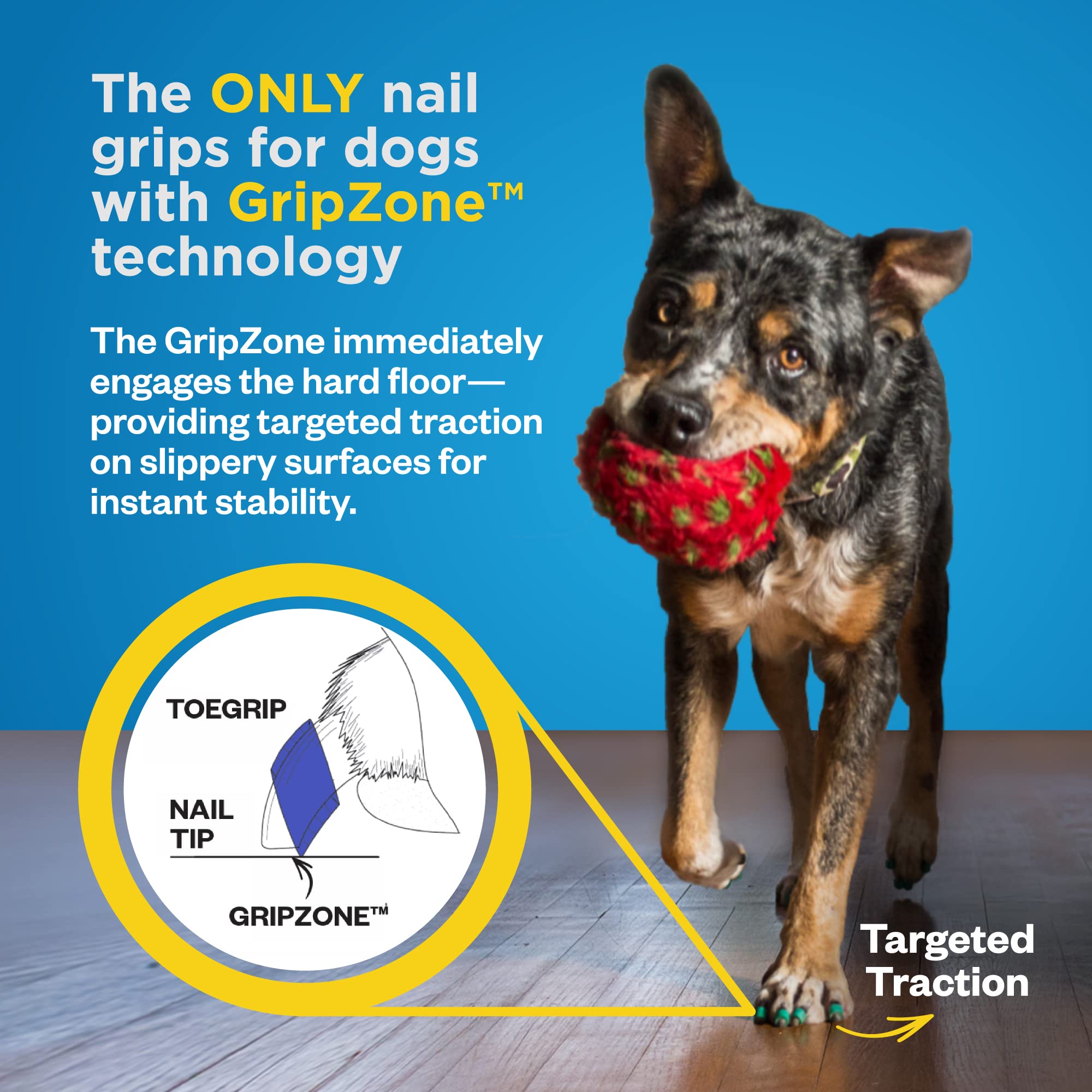 Dr Buzby'S Xsmall Toegrips For Dogs,Instant Traction On Wood/Hardwood Floors,Dog Anti Slip Relief,Dog Grippers For Senior Dogs,S