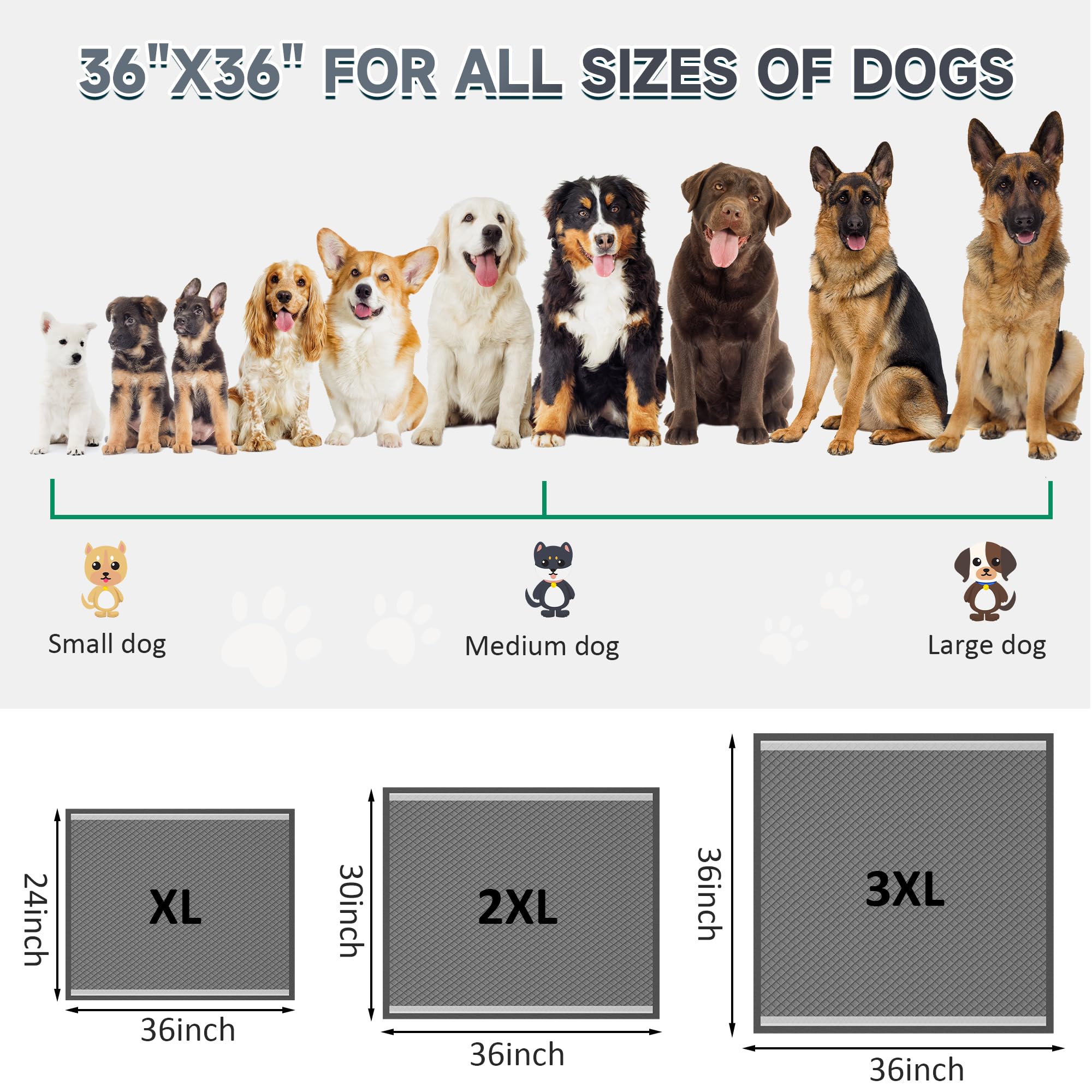 36x36 Activated Charcoal Pee Pads for Dogs , 32 Count, Extra Large, Super Absorbent, Leakproof and Odor Resistant, Disposable Pu