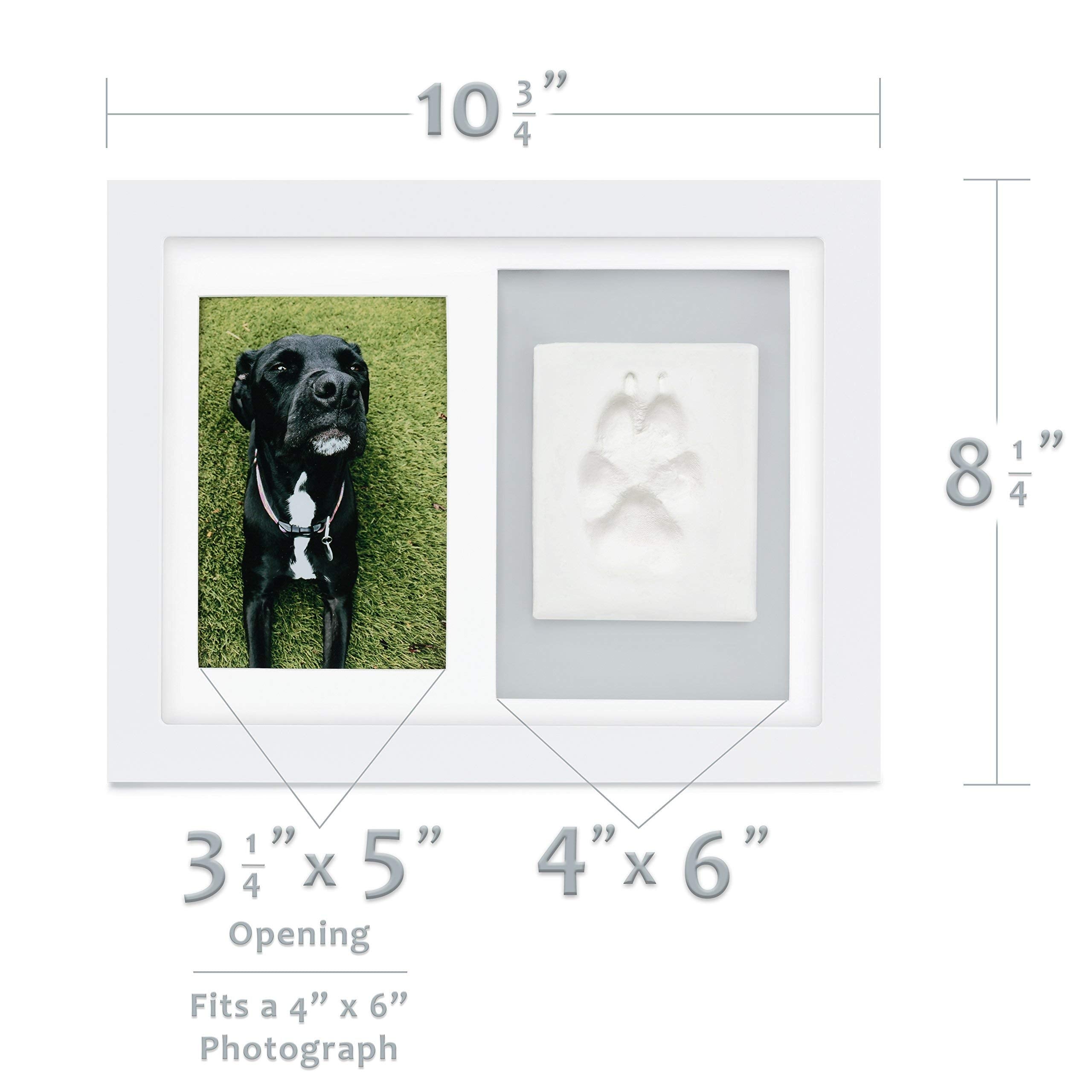 Better World Pets Paw Print + Photo Keepsake Frame Holds 4 X 6 Inch Picture  Memorial Clay Imprint Kit  For Dogs And Cats  Perfect For Pet Lovers  Wall Mount, White