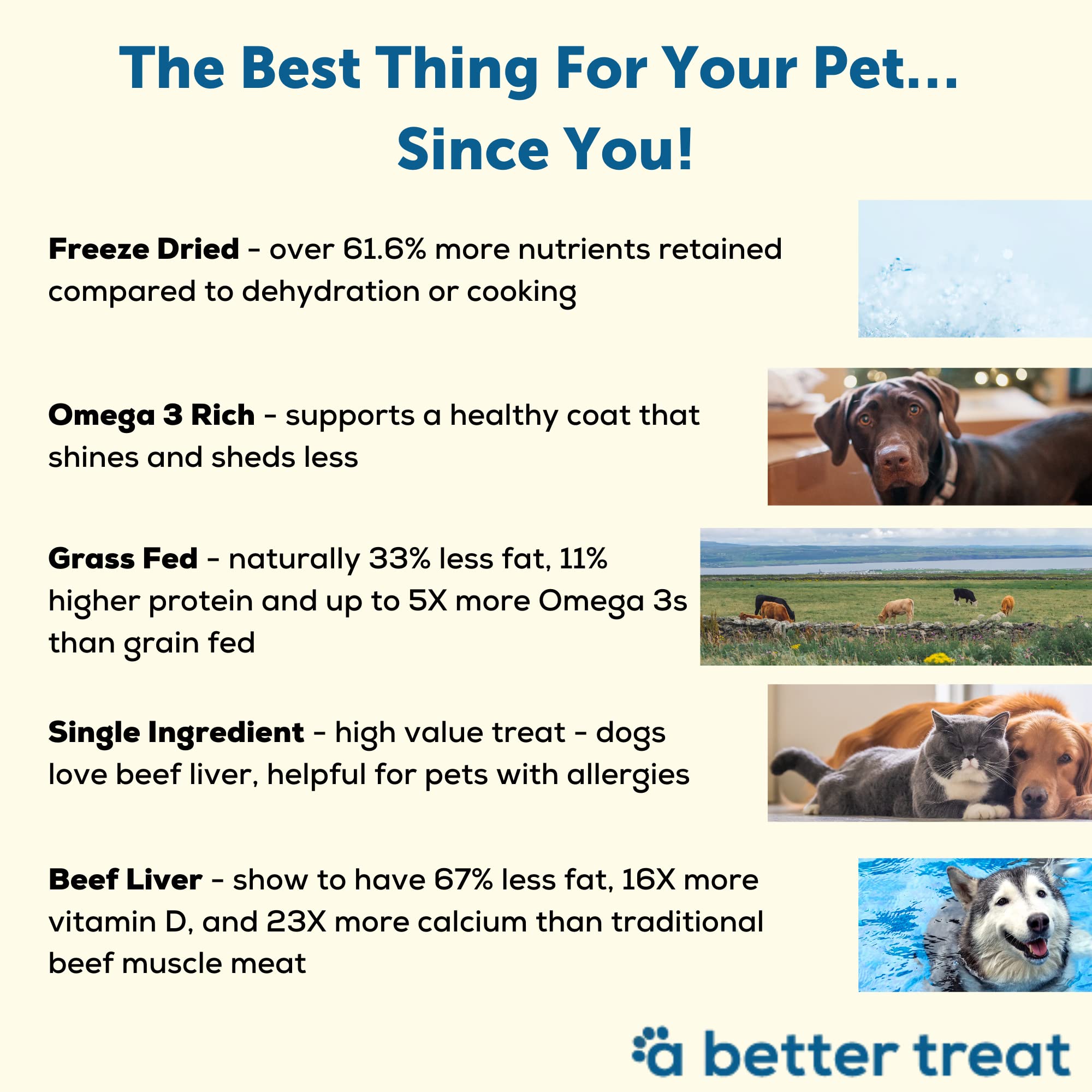Freeze Dried Beef Dog Treats, Grass Fed, Beef Liver Single Ingredient | Natural, Healthy, High Protein, Diabetic Friendly | Made