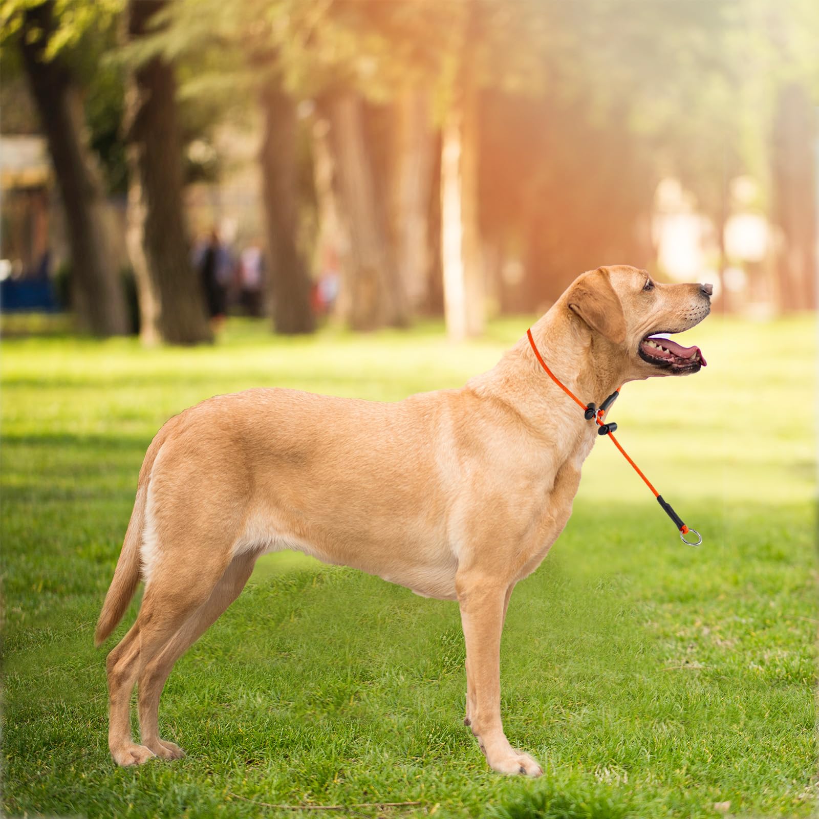 No Pull Dog Collar Training Collars 18'' 42Mm 1000Lb Thin Prong Collar With 2 Adjustable Stoppers Reflective Sturdy Small Mediun