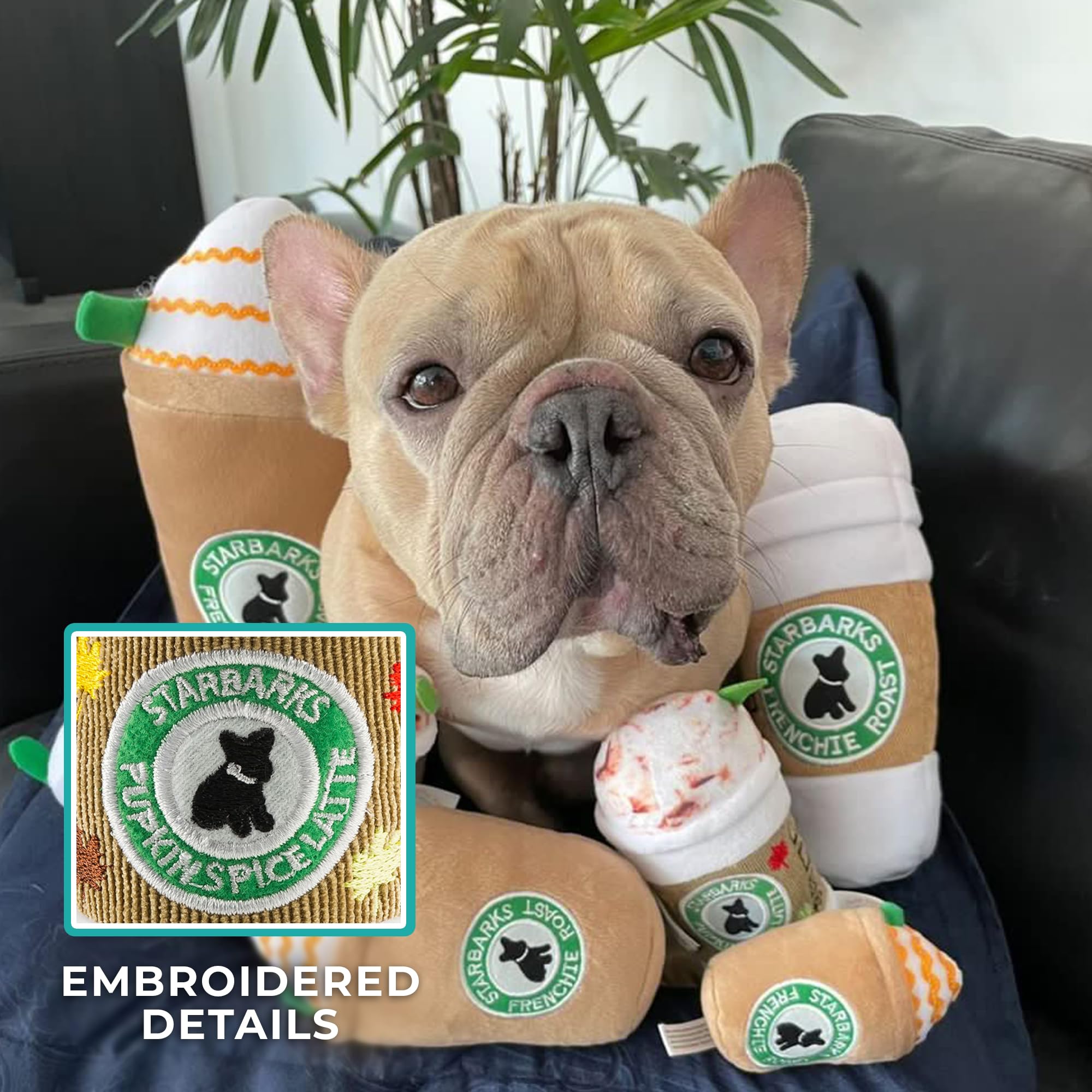 Haute Diggity Dog Starbarks Pupkin Spice Latte, Plush Designer Dog Toys With Interactive Squeaker, Stimulating Pet Enrichment, M