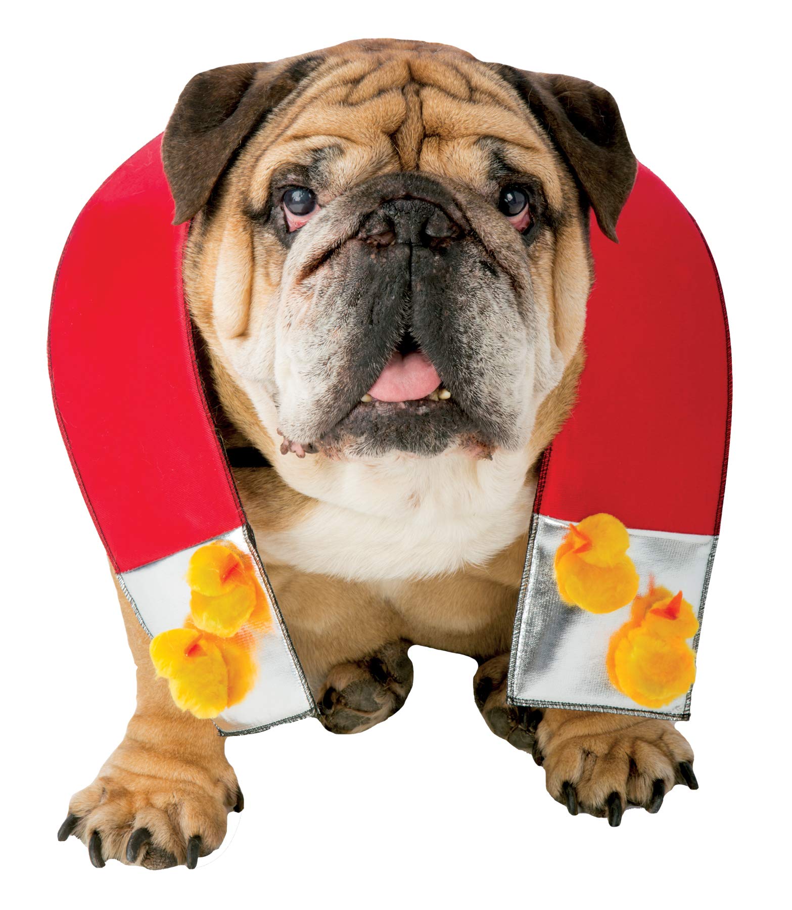 Rasta Imposta Chick Magnet Dog Costume, Medium/Large