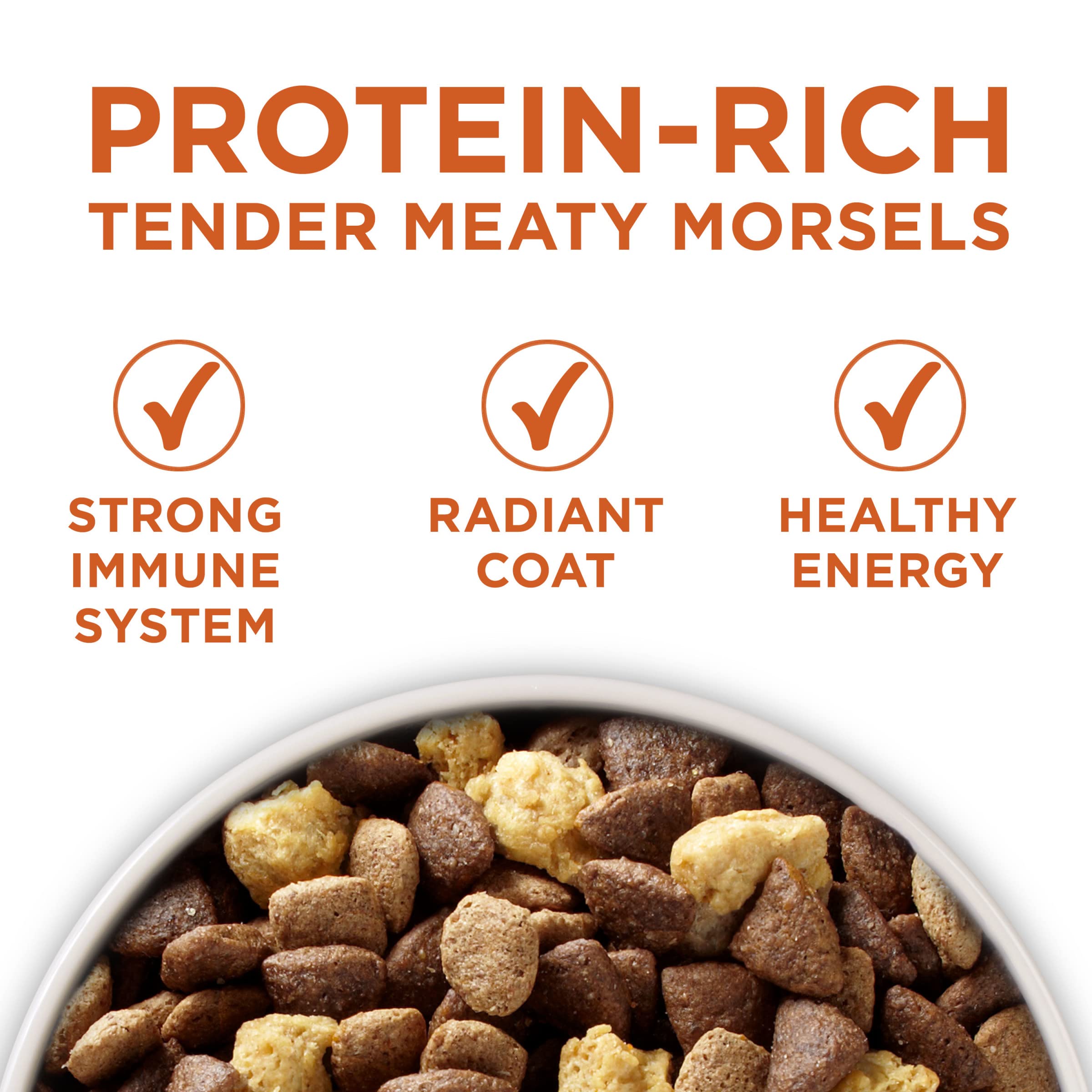 Purina ONE Plus Healthy Weight High-Protein Dog Food Dry Formula - 31.1 lb. Bag
