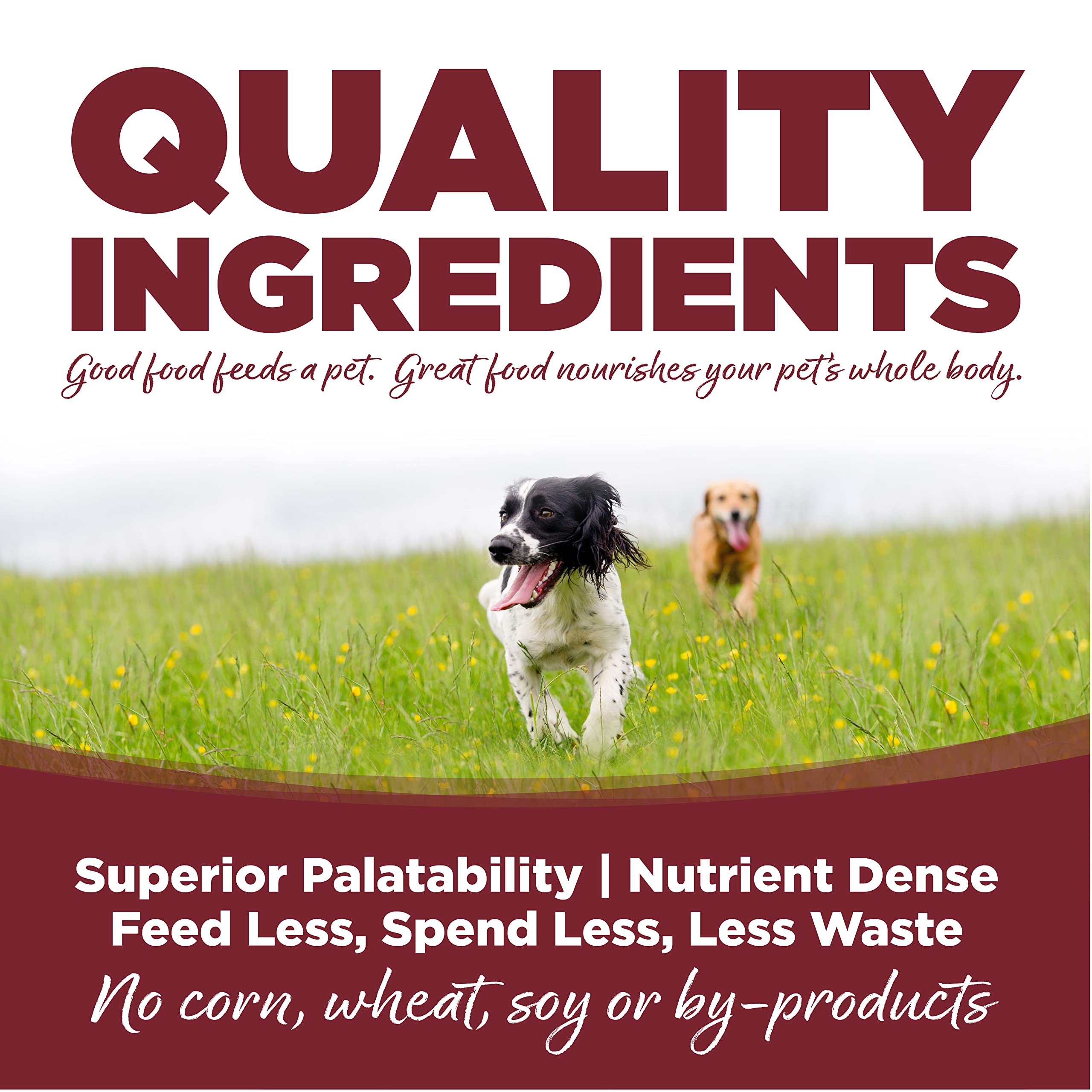 NutriSource Dry Dog Food, Beef and Rice, 26LB