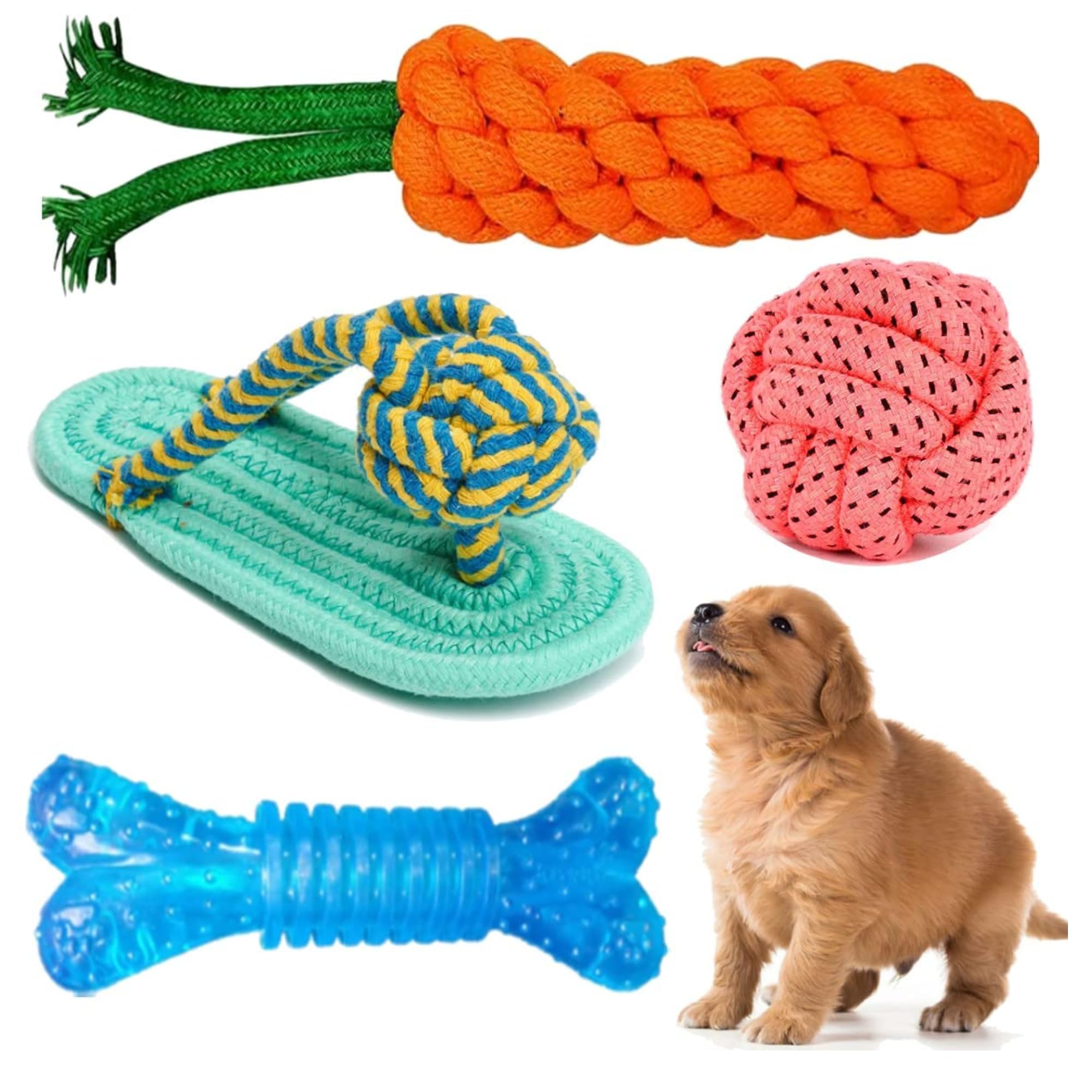 Kittupet Dog Toy Variety Bundle  Interactive Cotton Rope Carrot, Slipper, Ball, And Spiky Rubber Bone Set For Puppy Teething An