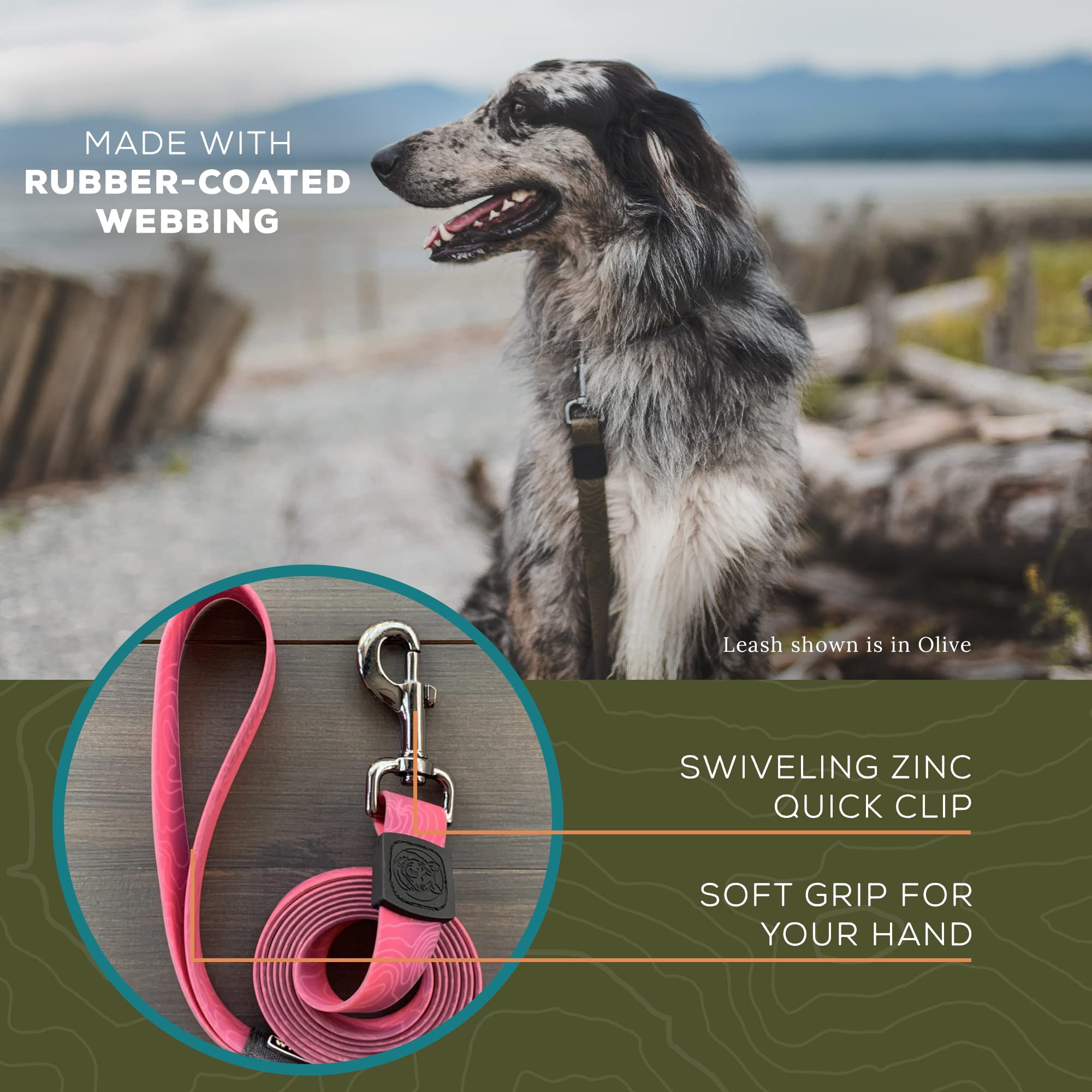 Wilderdog Waterproof Dog Leash - Repels Water & Dirt - 6Ft - Plum - 1Ct