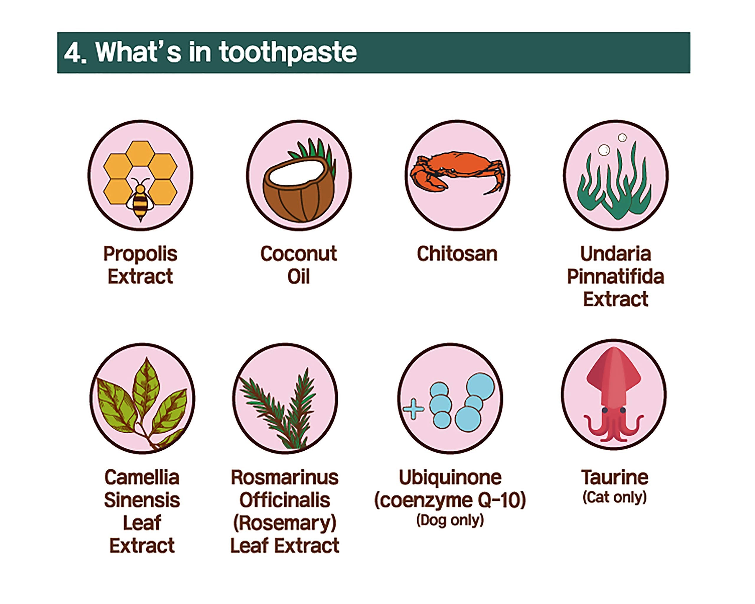 HIBOS Cat Toothbrush Toothpaste Dental Care - All in One Kit, Cat Toothpaste in Toothbrush, Cat Tooth Whitening & Cleaning, Cat