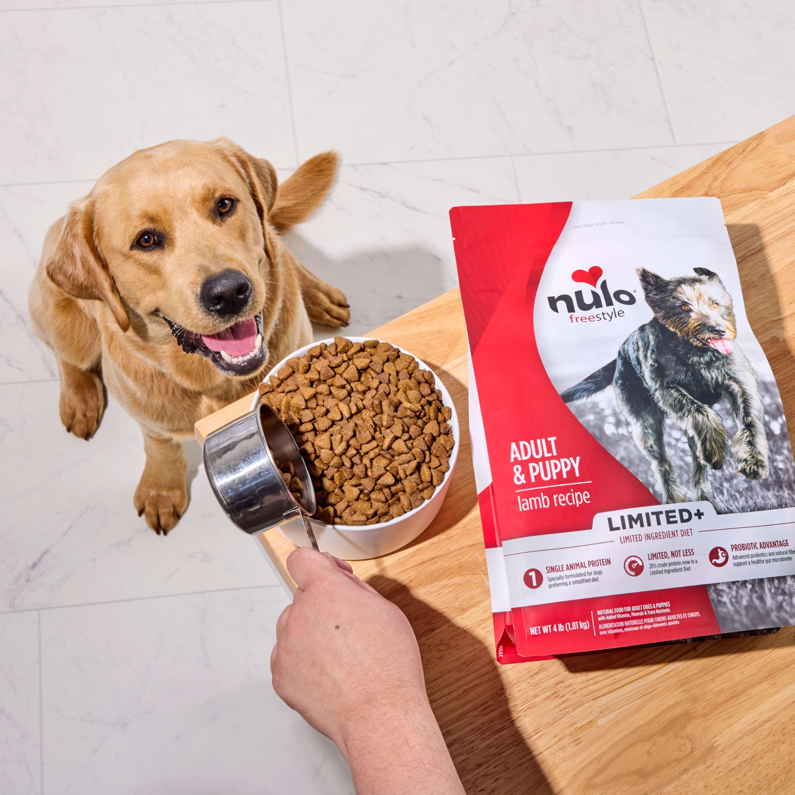 Nulo Freestyle Dry Dog Food - High Protein Lamb Recipe, Grain Free, 5.5lb for Puppies & Adults