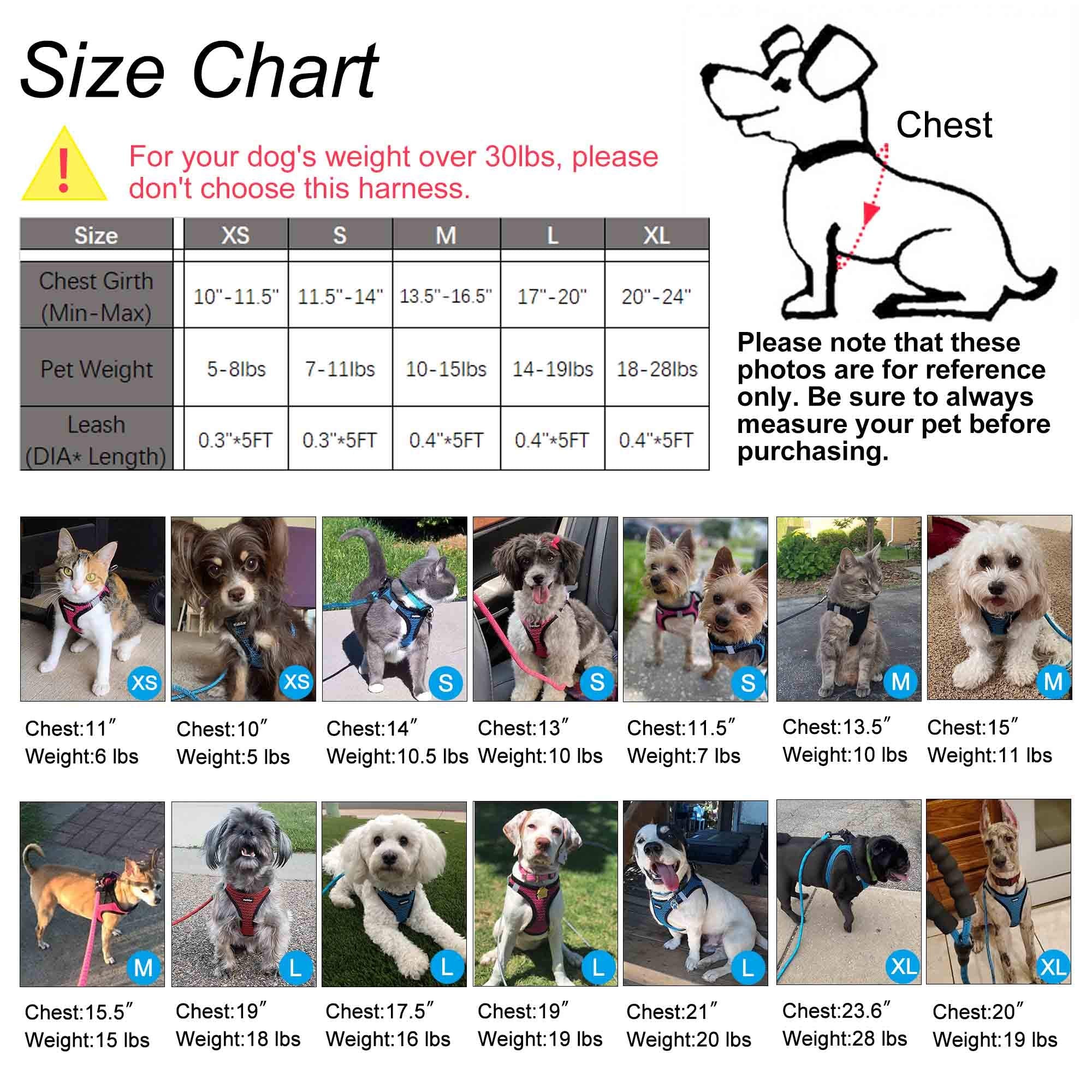 Matilor Dog Harness Step-In Breathable Puppy Cat Dog Vest Harnesses For Small Medium Dogs