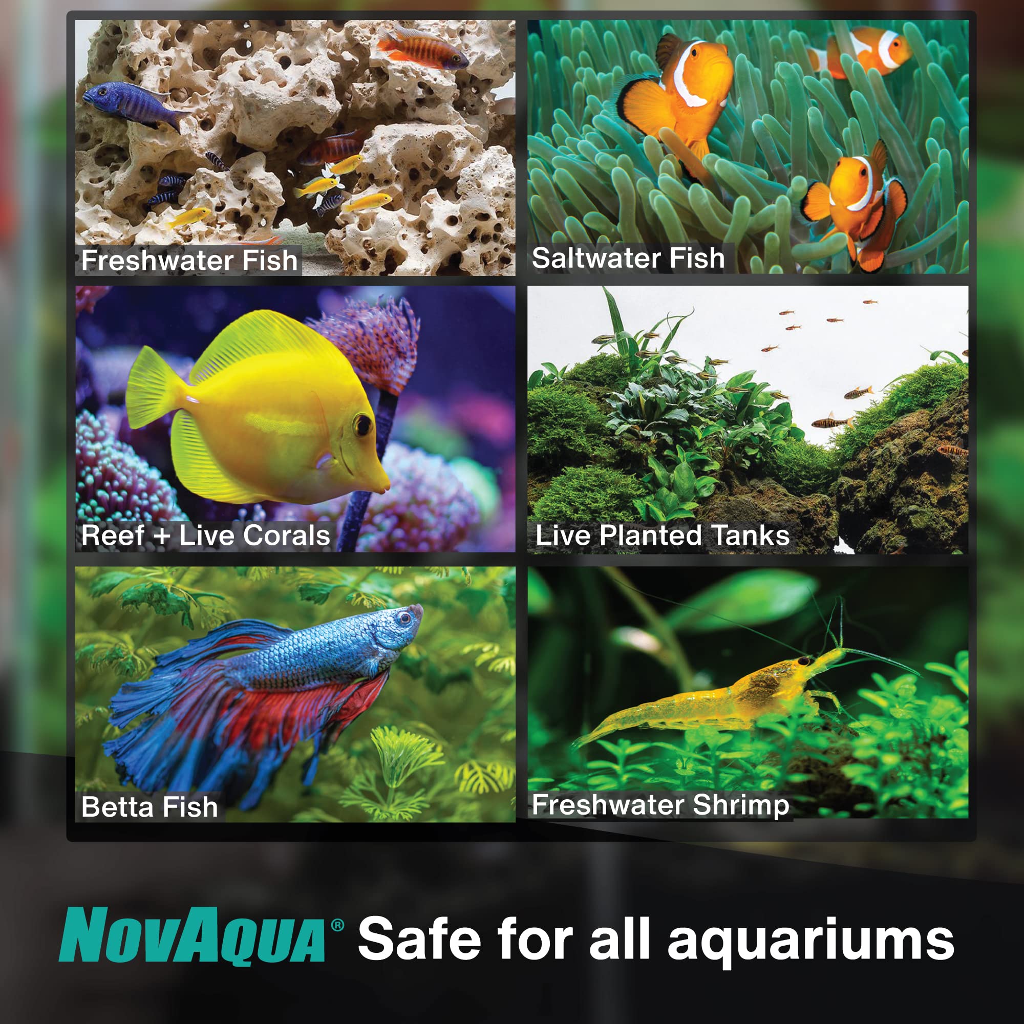 KORDON Novaqua Aquarium Water Conditioner for Freshwater & Saltwater - Instantly Detoxifies Chlorine, Chloramines, & Heavy Metal