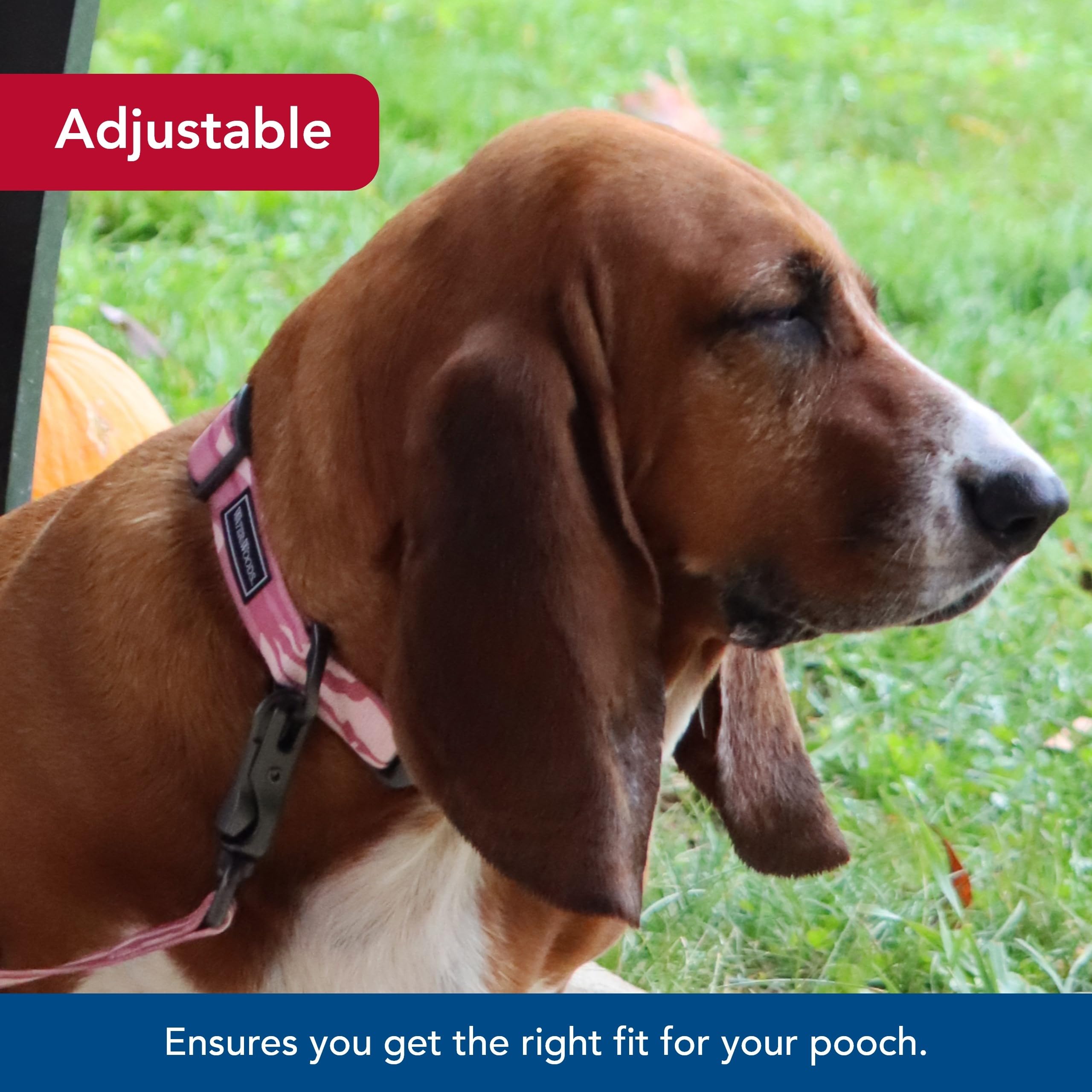 Coastal Pet - Water & Woods Adjustable Dog Collar - Durable Dog Collar With Curved Snap Lock Buckle - Patterned Collar For Dog - Stylish & Adjustable - Bottomland Pink, Medium - 1' X 14'-20'