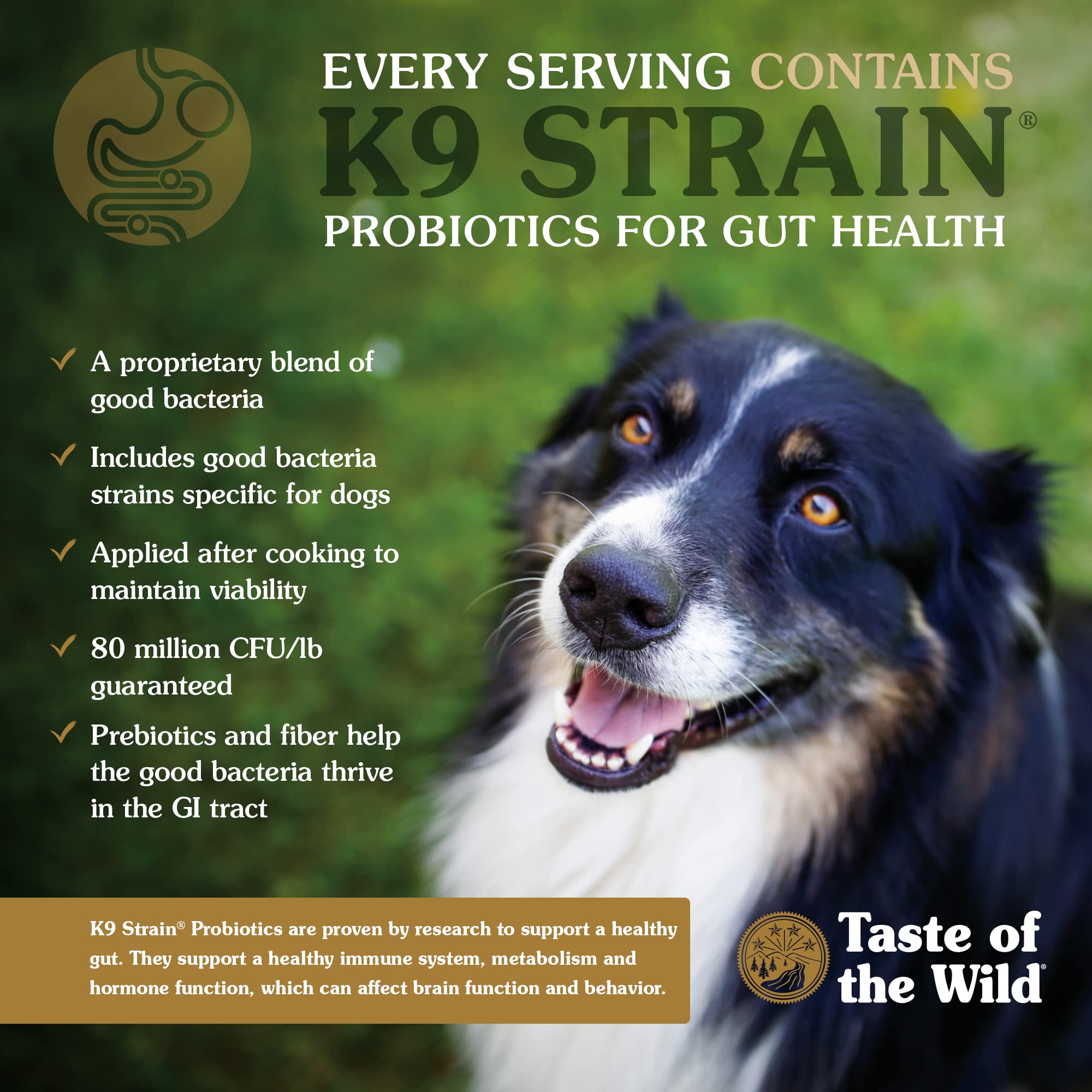 Taste of the Wild Appalachian Valley Small Breed Grain-Free Recipe with Roasted Venison Dry Adult Dog Food, Made with High Prote