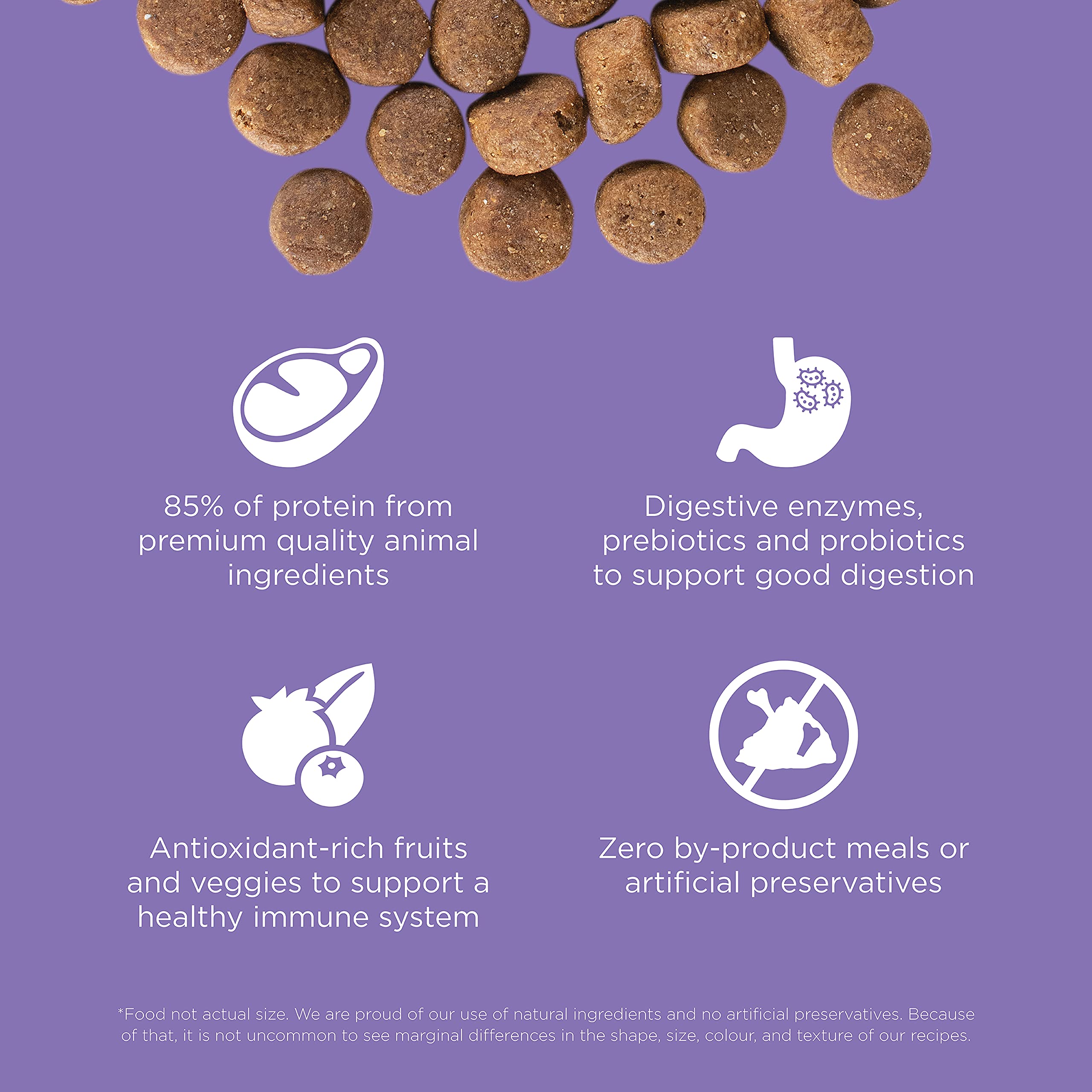 Go! Solutions Carnivore, Grain-Free, Protein Rich Dry Dog Food, Chicken, Turkey and Duck Senior Recipe, 22 lb Bag