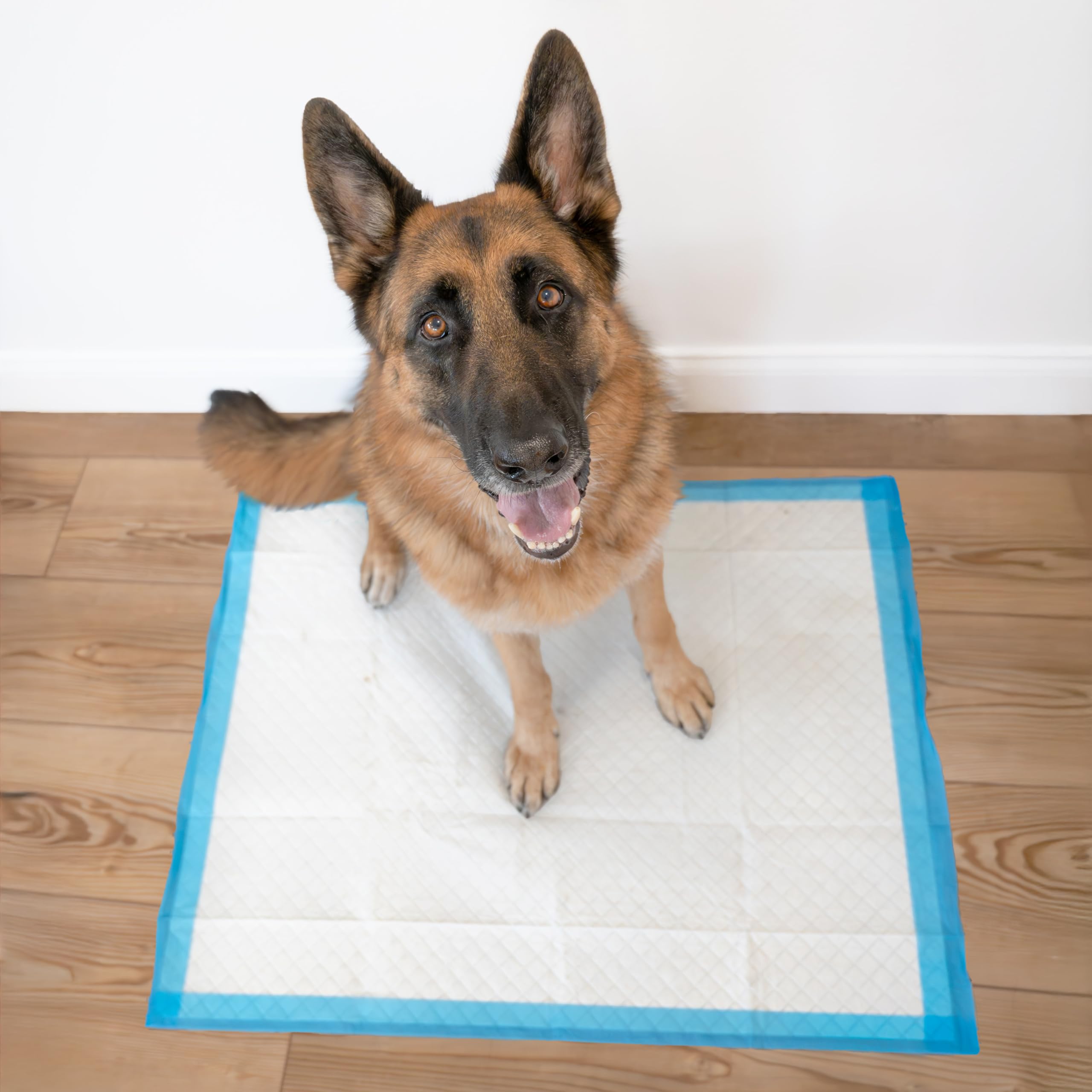 Four Paws Wee-Wee Superior Performance Unscented Extra-Large Pee Pads for Dogs & Puppies, Quilted Leak-Proof Dog Housebreaking P