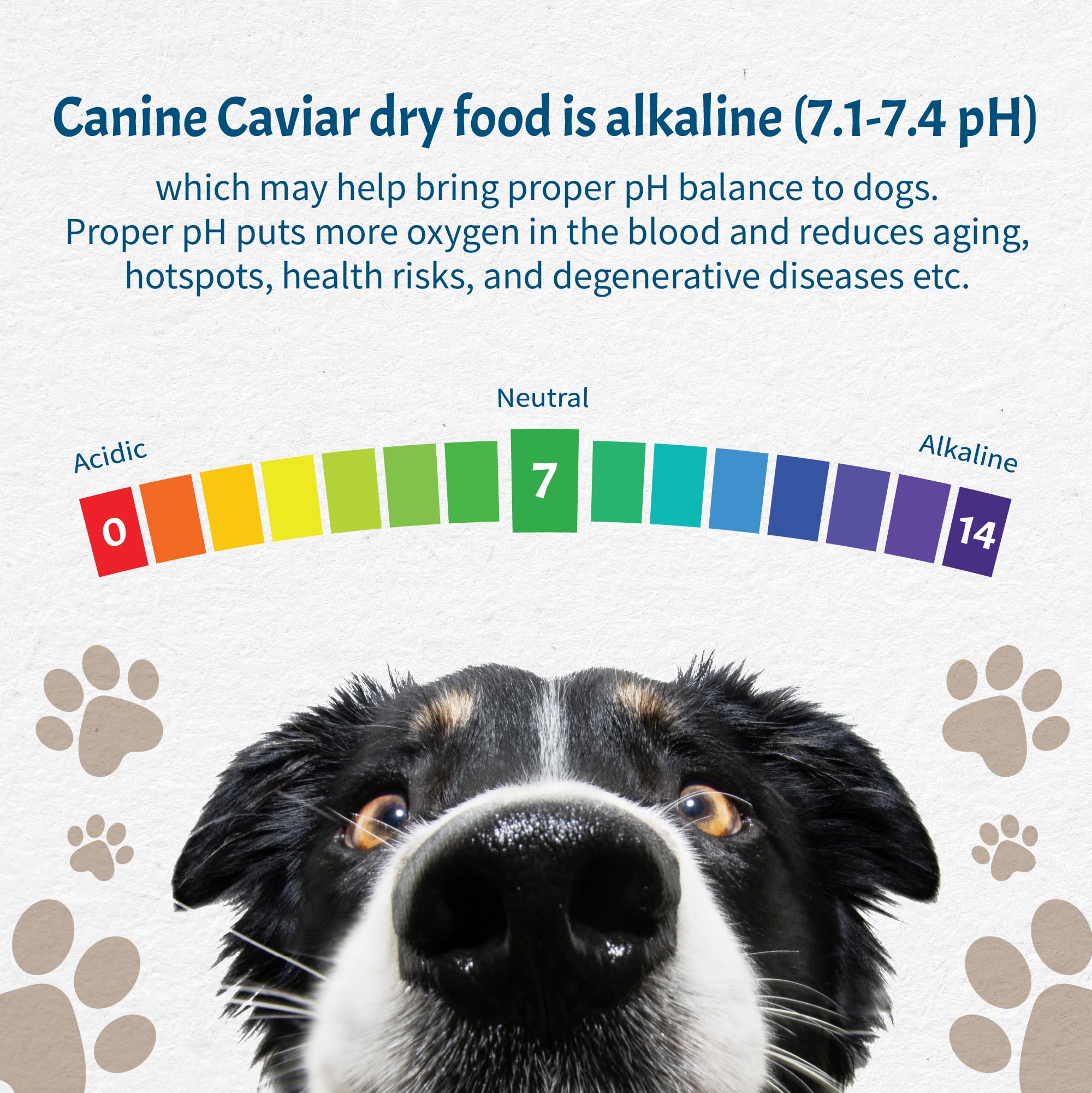 Canine Caviar Alkaline Dry Dog Food - Water Buffalo & Chickpea, Gluten-Free, 22 lb