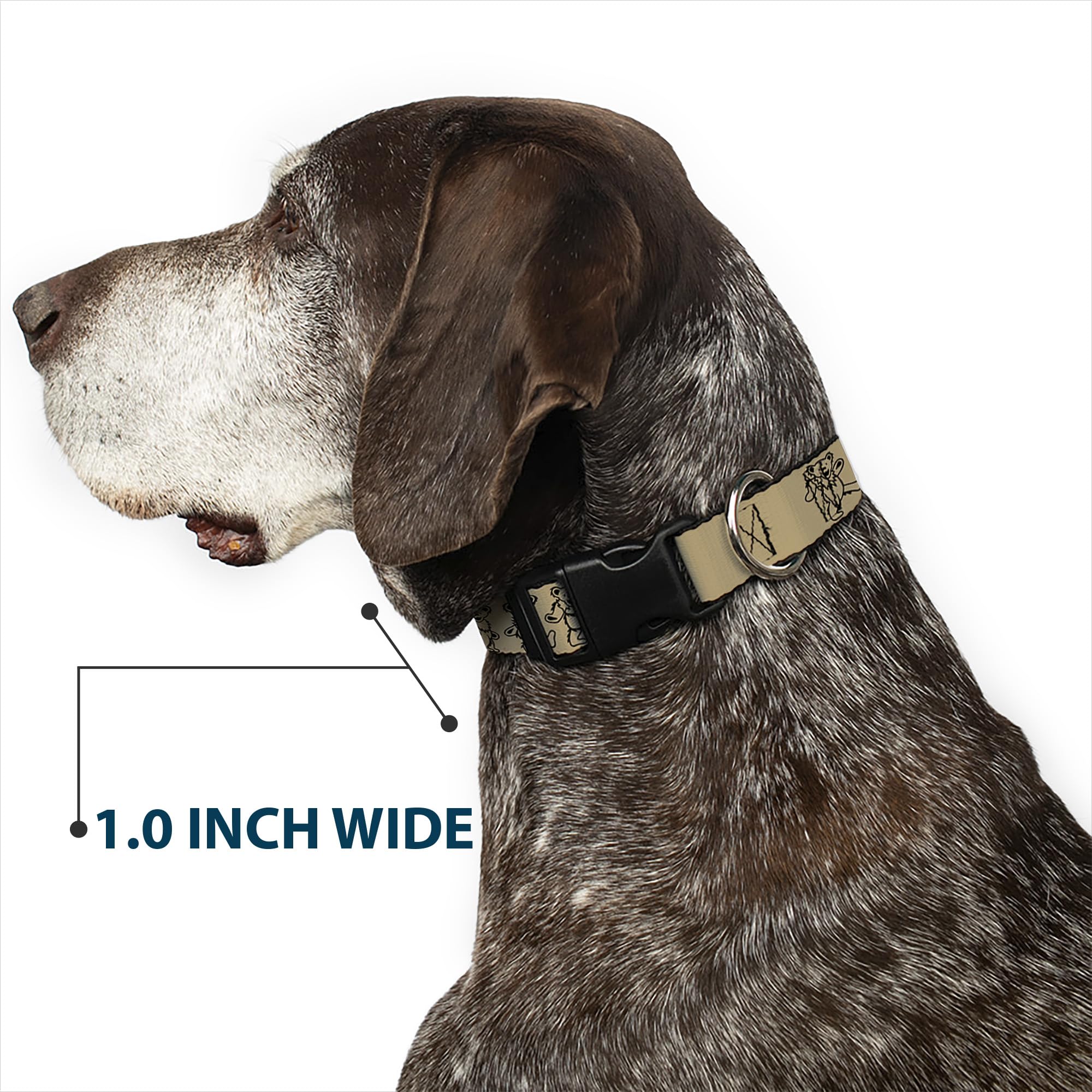 Buckle-Down Dog Collar Plastic Clip Dancing Bears Tan Black 16 to 23 Inches 1.5 Inch Wide, Multicolor, PC-WGD003-WM