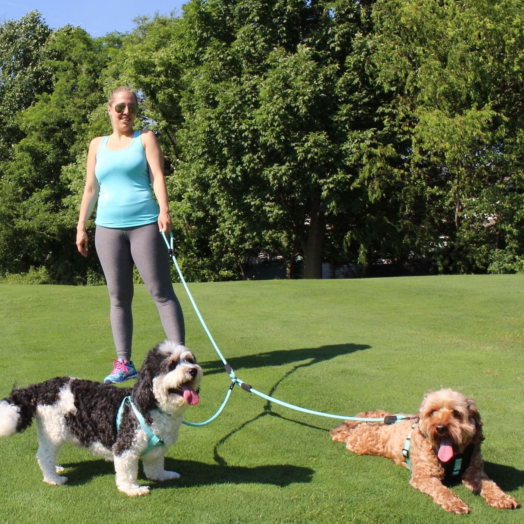 Pawtitas Double Leash for 2 Dogs - 6ft, Medium/Large, Pink, Shock Absorbing, Reflective, Comfortable Walking & Training Rope