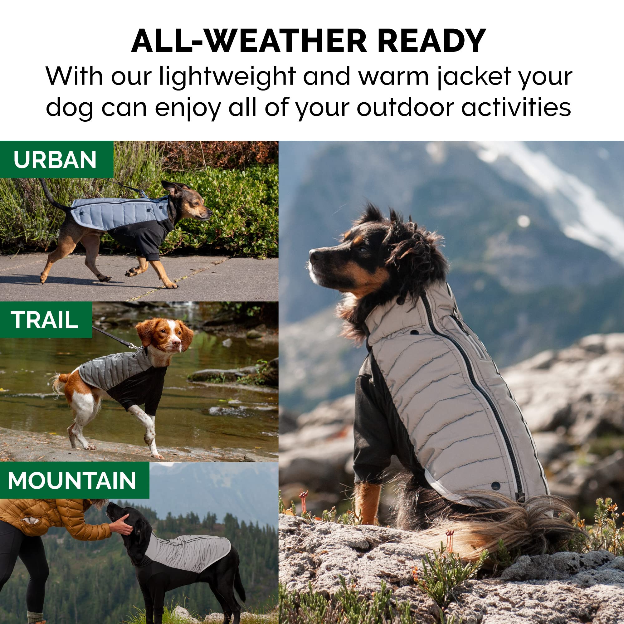 Furhaven X-Small Dog Coat Water-Repellent Reflective Pro-Fit Active Jacket, Washable - Chrome, Extra Small
