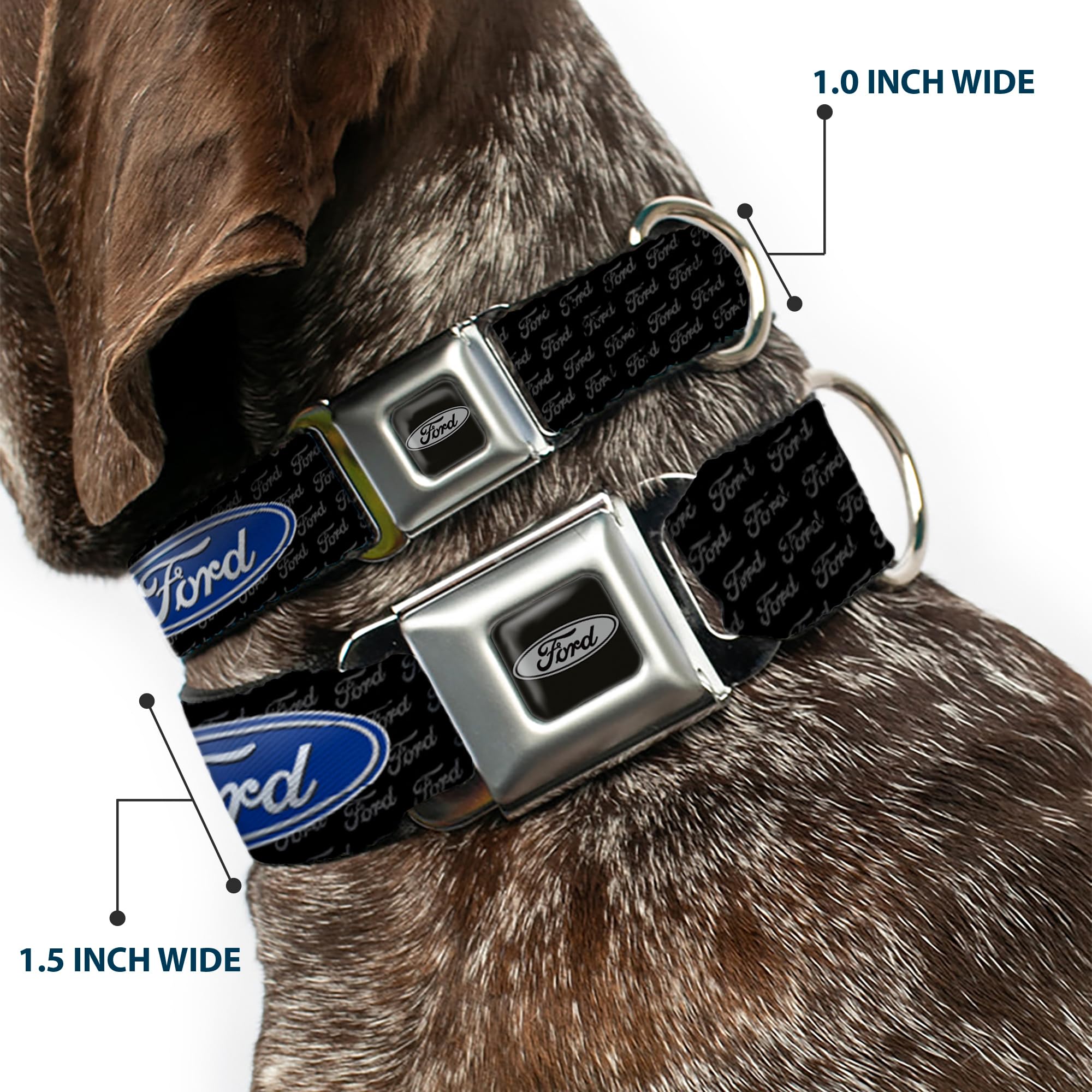Buckle-Down Seatbelt Buckle Dog Collar - Ford Oval W/Text - 1'' Wide - Fits 9-15'' Neck - Small