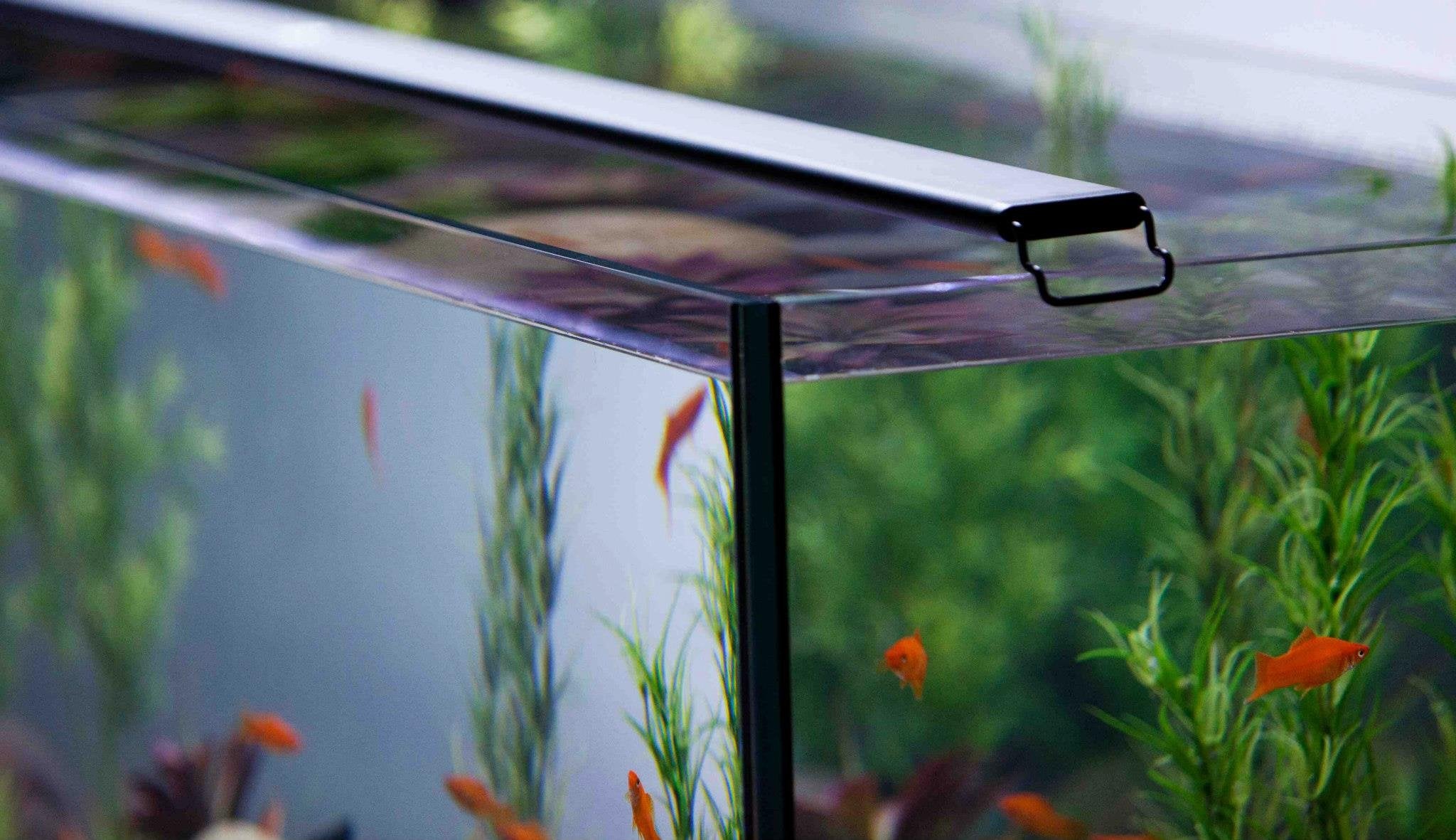Current Usa Satellite Freshwater Led Plus Light For Aquarium, 18 To 24-Inch