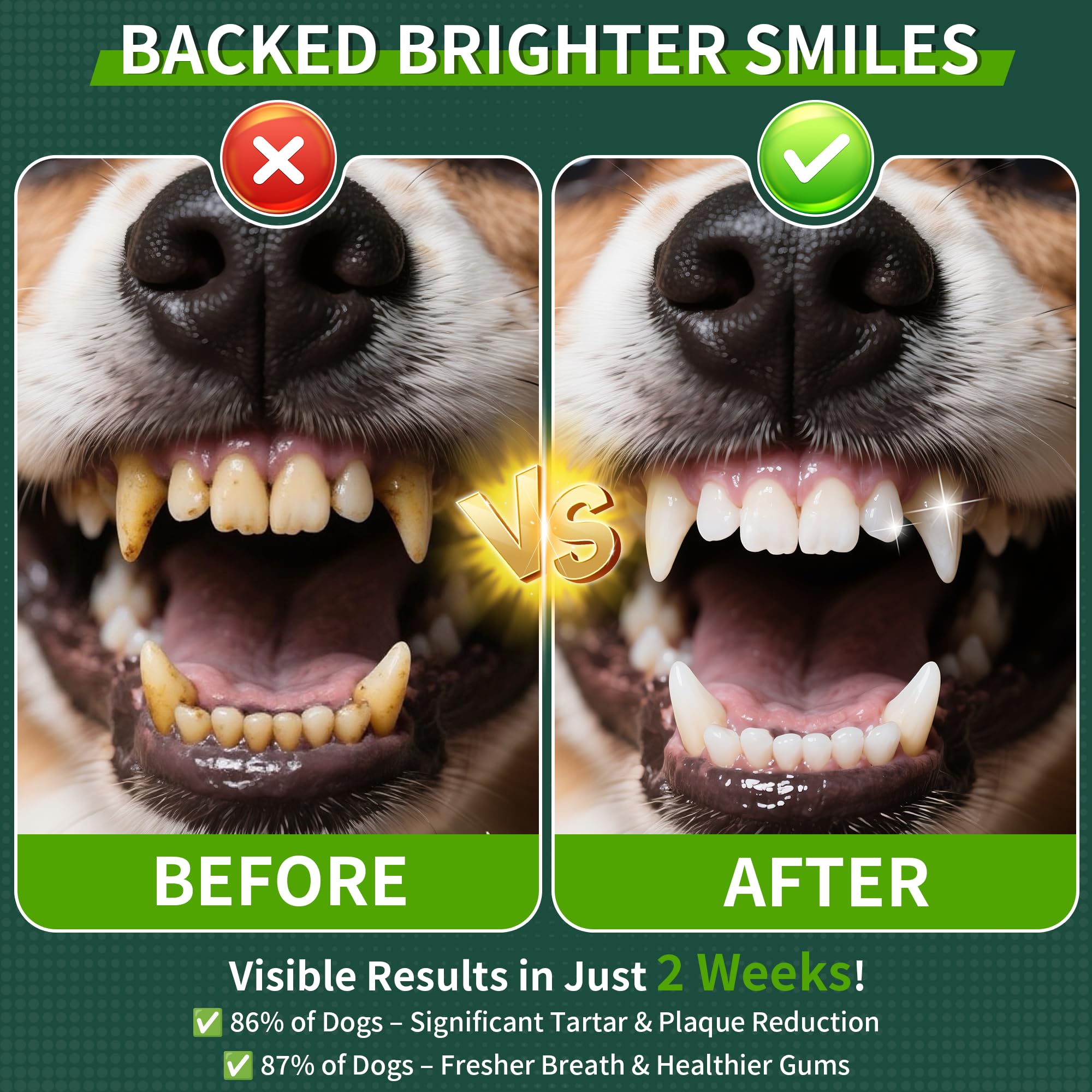 Dog Dental Powder, Dog Teeth Cleaning Powder with Natural Herbal Blend, Plaque Off Pet Tooth Cleaning lab co, Targets Tartar & R