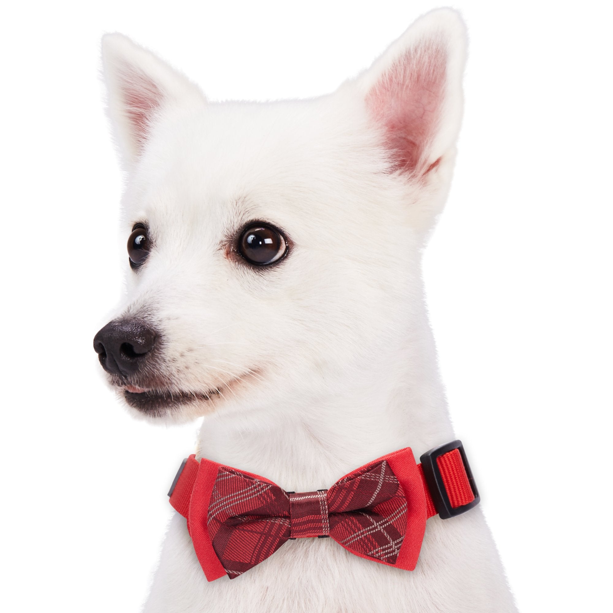 Blueberry Pet Gift Box With Pack Of 2 Handmade Dog Cat Bow Tie, Scottish Plaid Tartan Style Bowtie Set In Scarlet Red & Emerald Green, 4' * 2.5'
