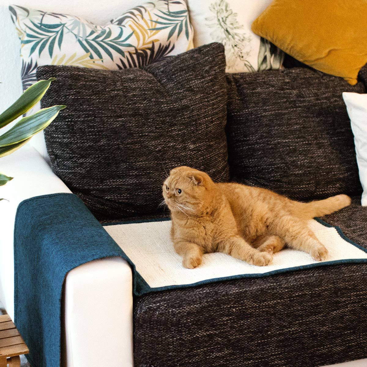 Navaris Cat Scratch Mat Sofa Protector - Natural Sisal Furniture Protector Scratching Pad For Cats - Scratch Carpet For Bed, Cha