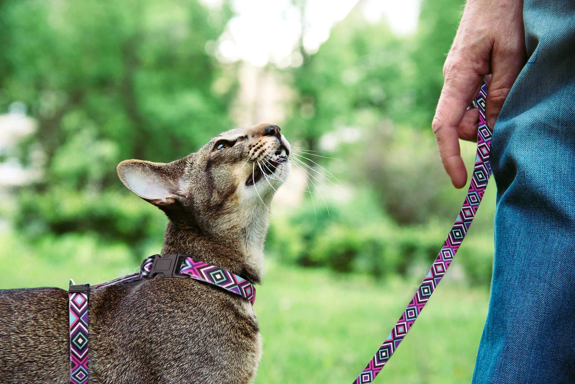 Cat Harness And Leash Set Geometric Pattern Escape Proof Adjustable For Kitty Outdoor Walking(Purple)